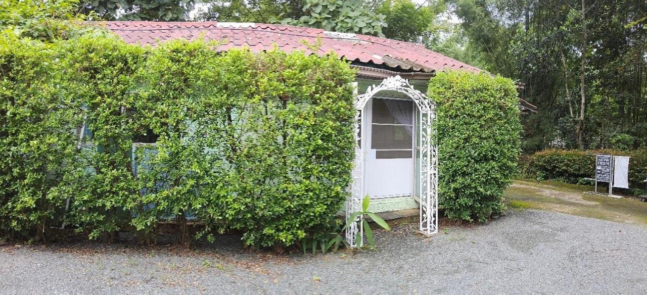 Balmy Hideout Cafe & Homestay
