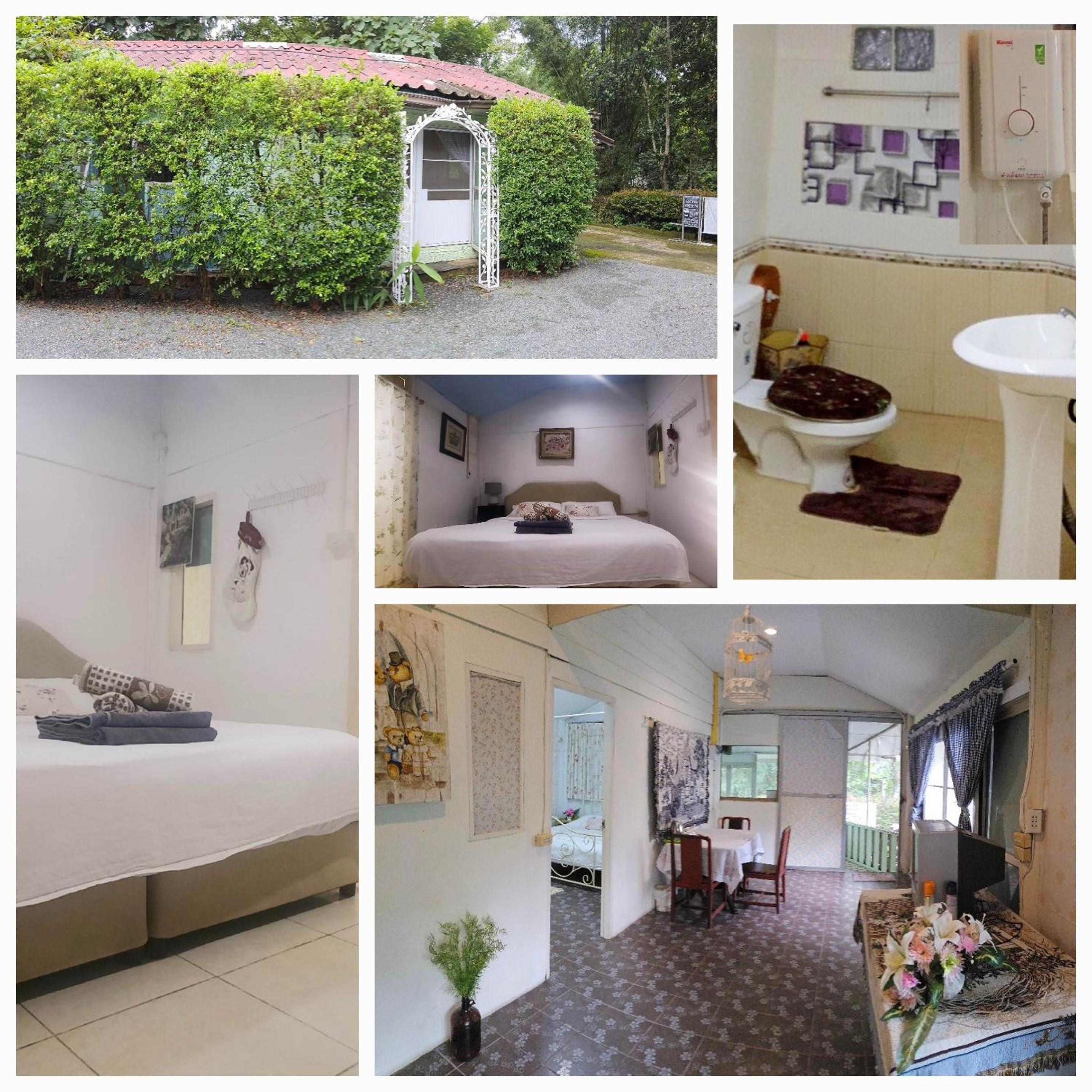 Balmy Hideout Cafe & Homestay