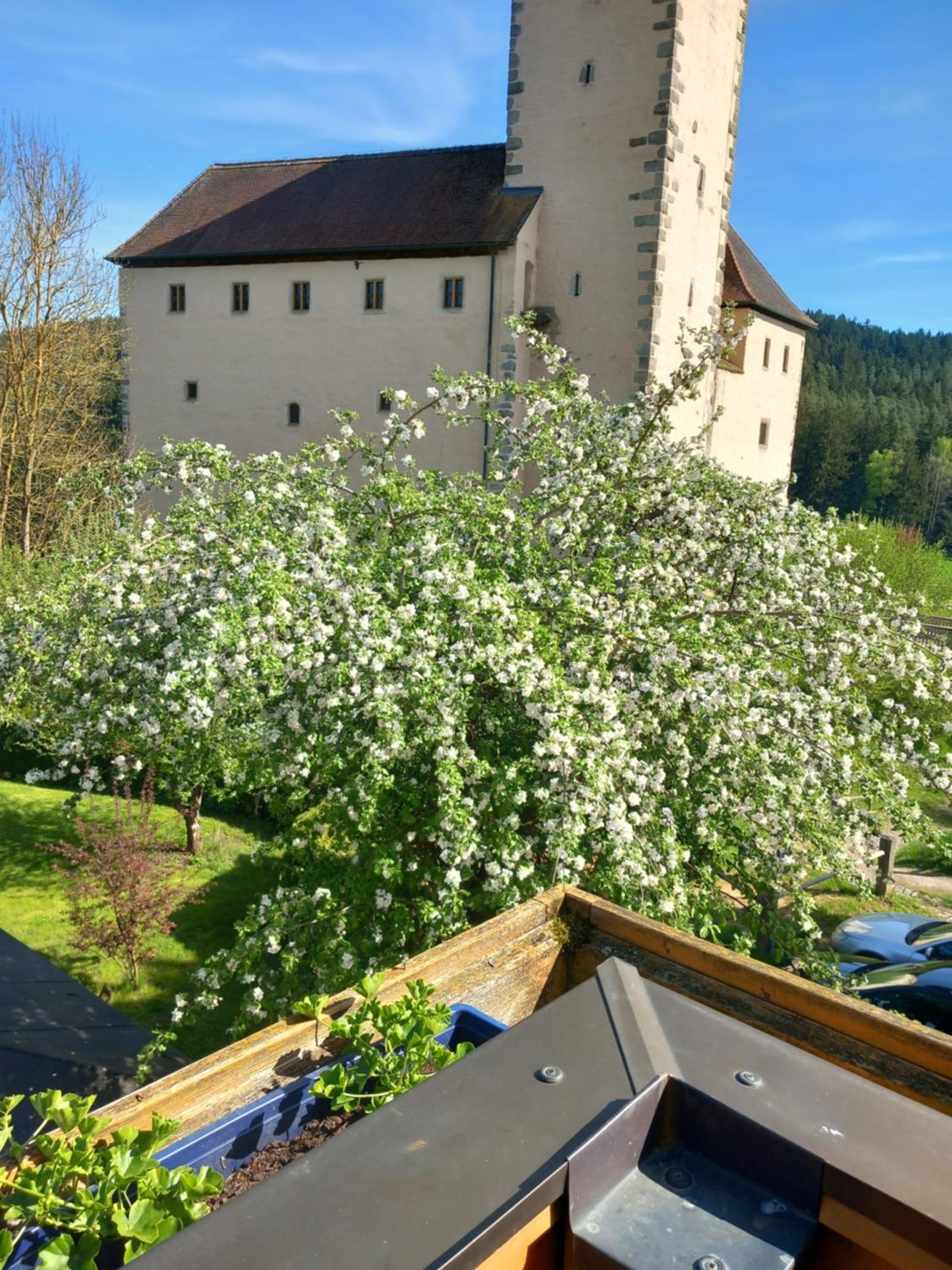 Sylvias Burgblick