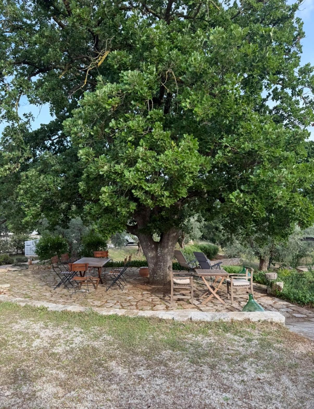 Exclusive Trullo with pool