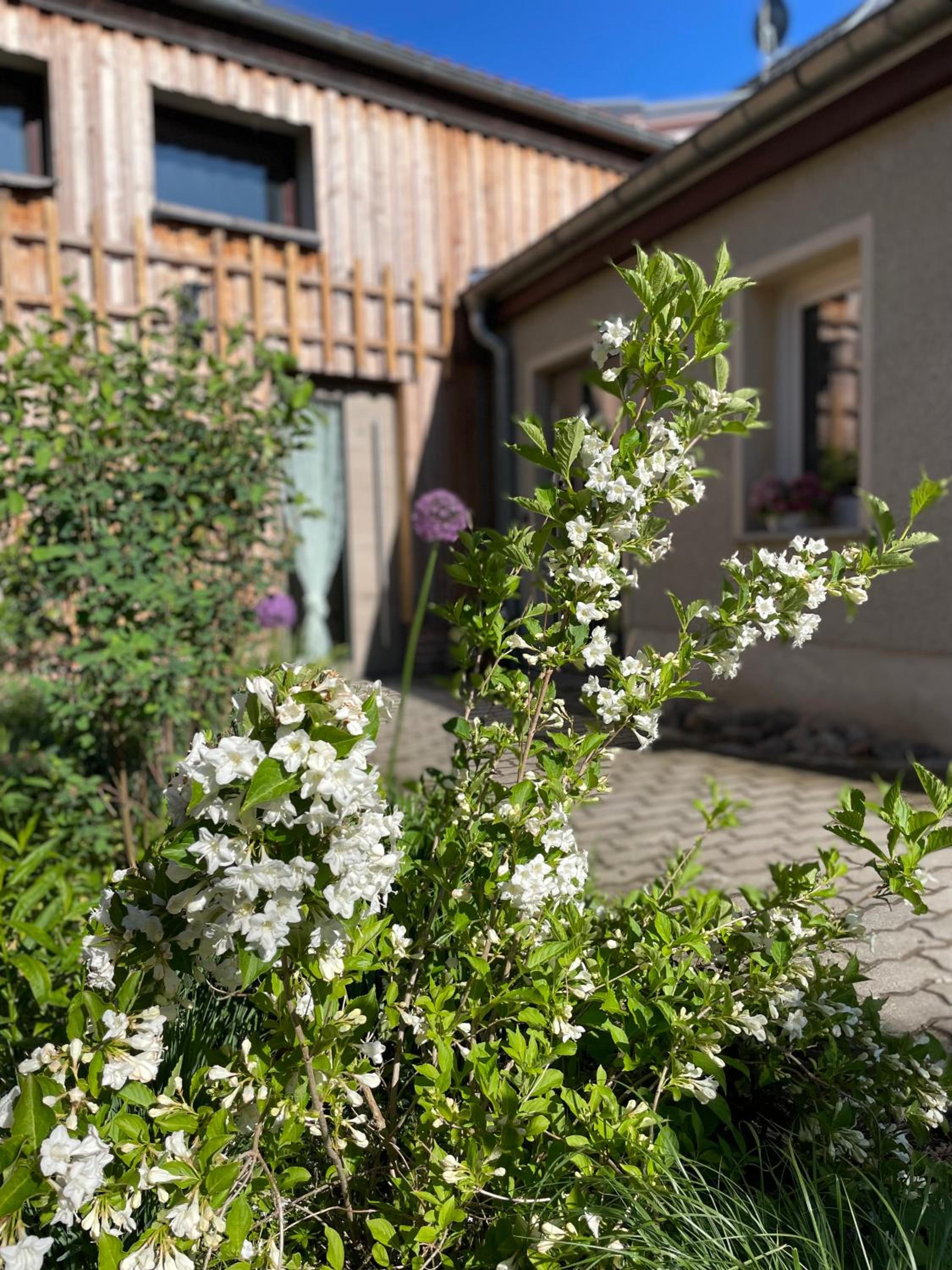 Kochstedter Wohnstuben - Wohnen mit Naturbaustoffen in der Bauhausstadt Dessau