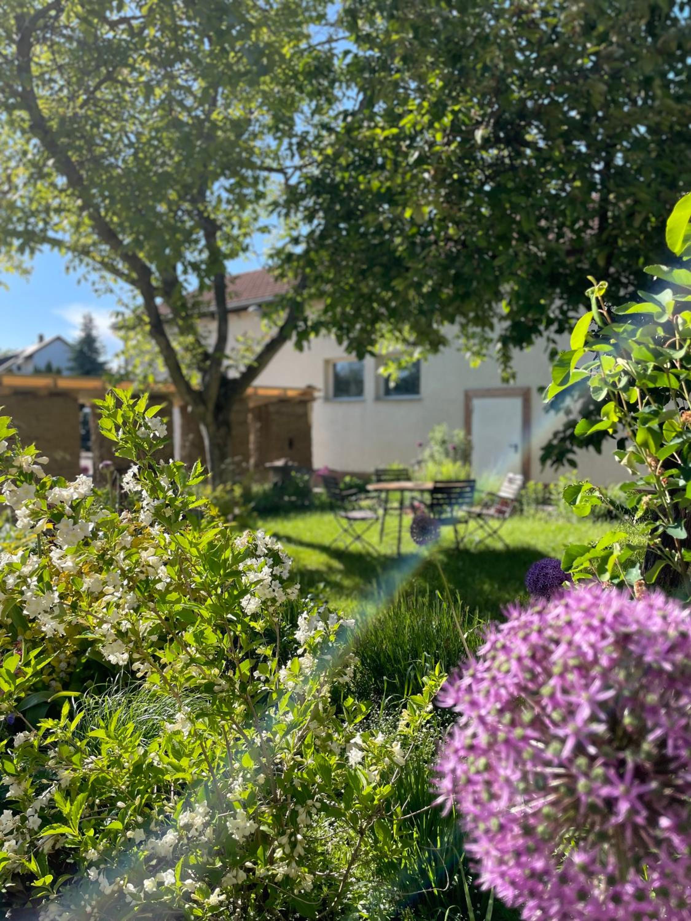 Kochstedter Wohnstuben - Wohnen mit Naturbaustoffen in der Bauhausstadt Dessau