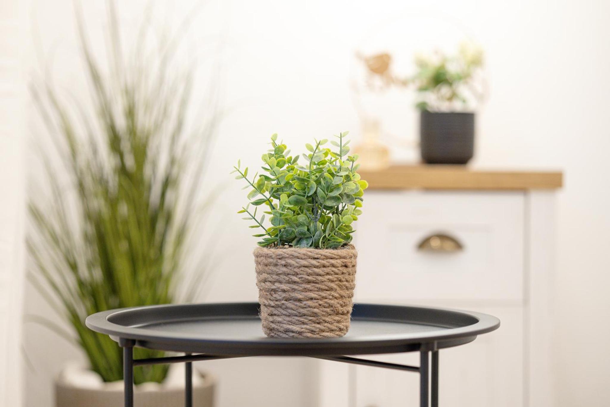 Amavi Homes With Garden