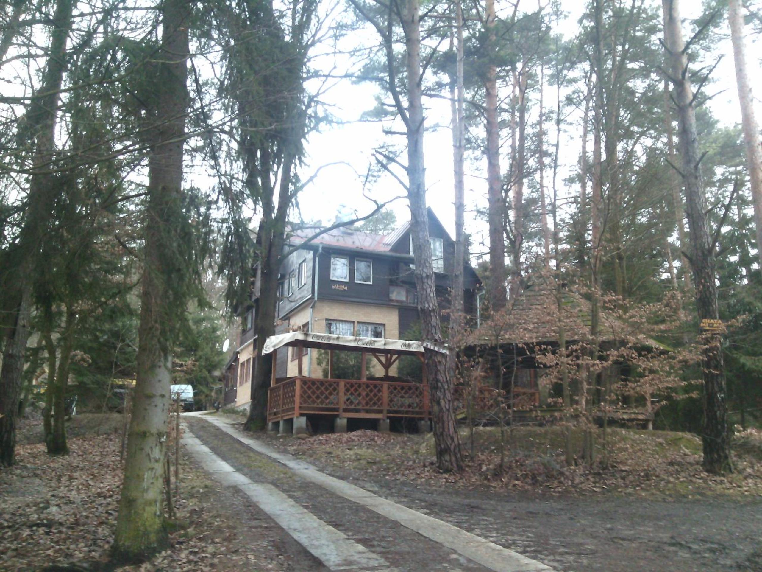 Photo 6