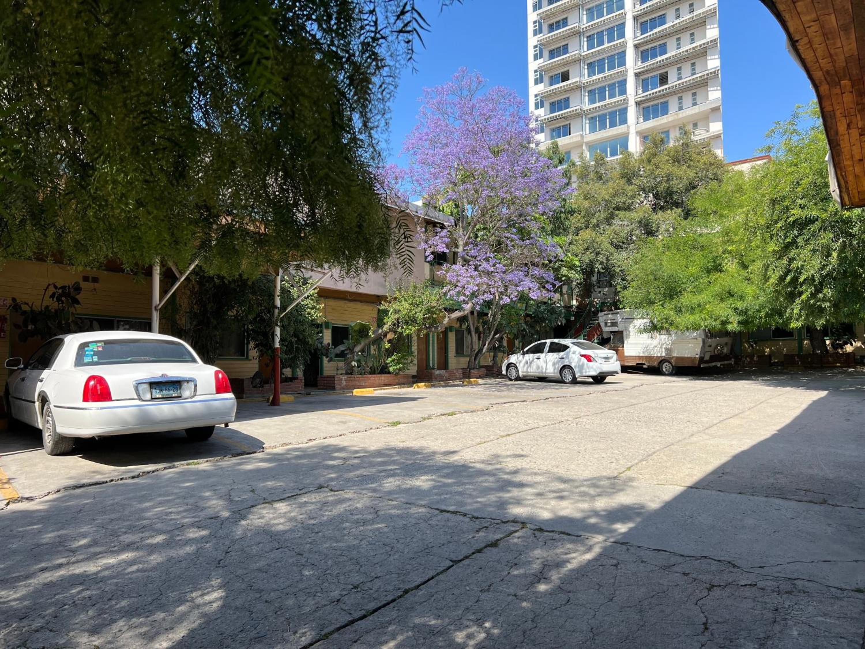 Motel Maya