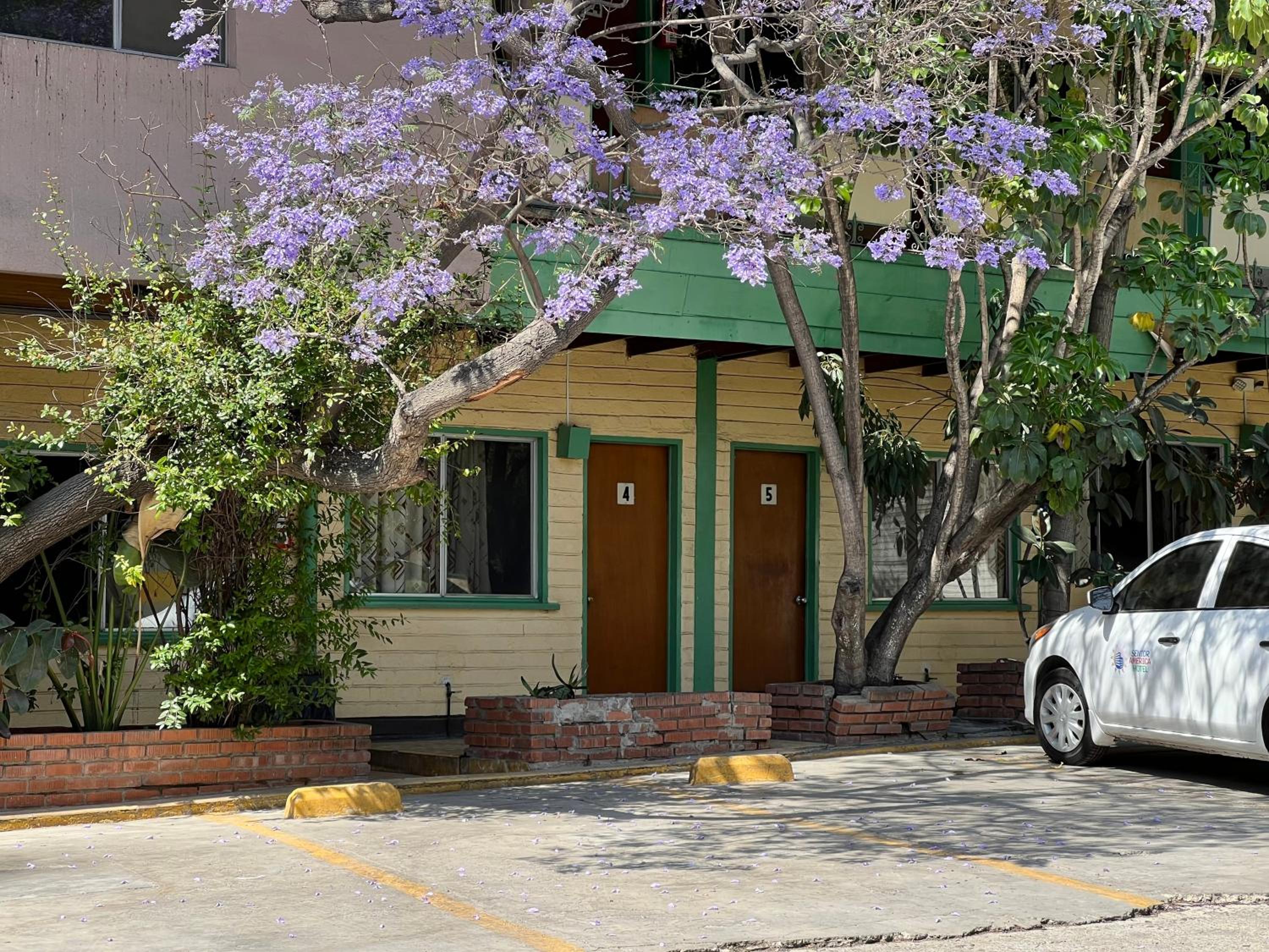 Motel Maya