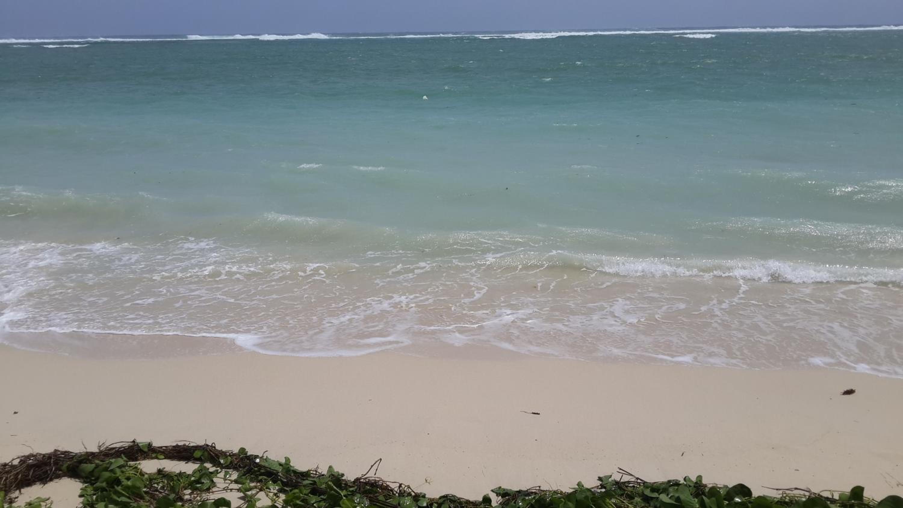 Villasun Seafront Apart at CapOuest