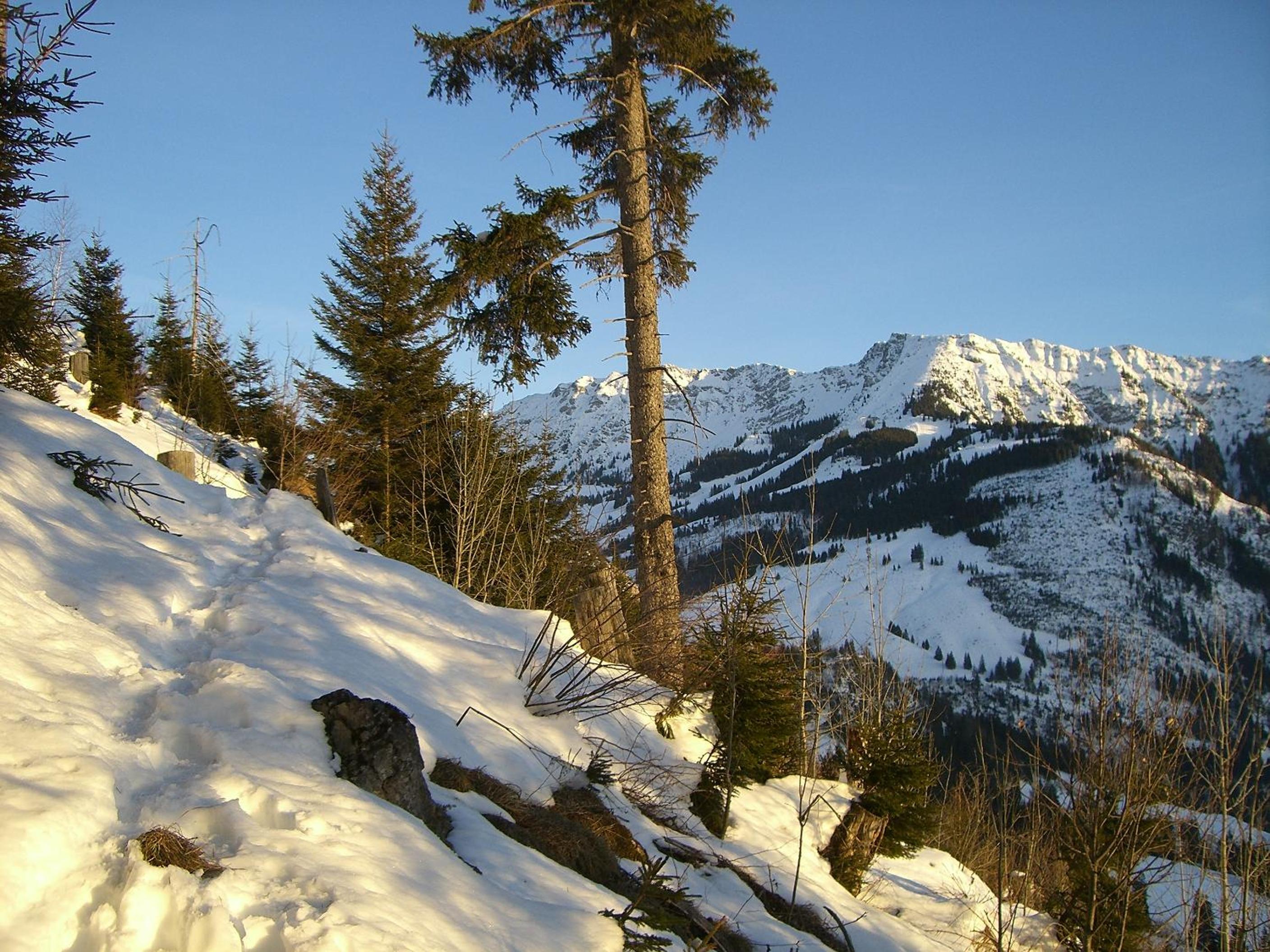 Landhaus Via Decia - Bad Hindelang PLUS Partner