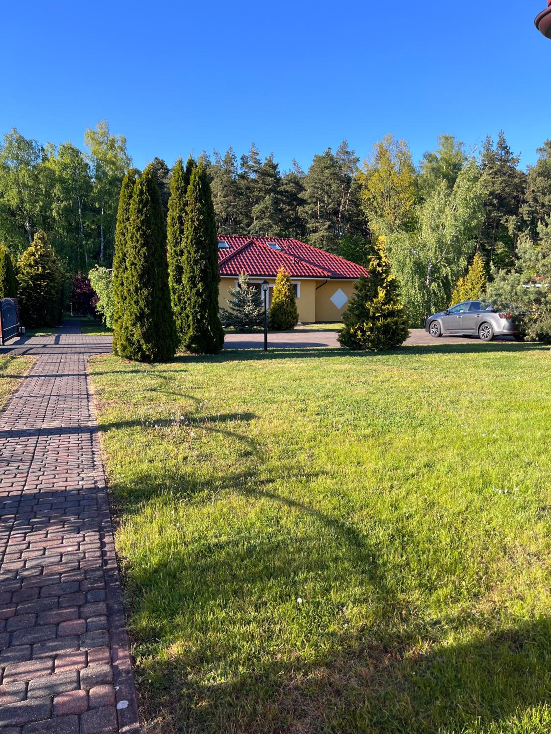 Photo 46