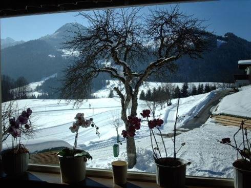 Gasthof Mairwirt