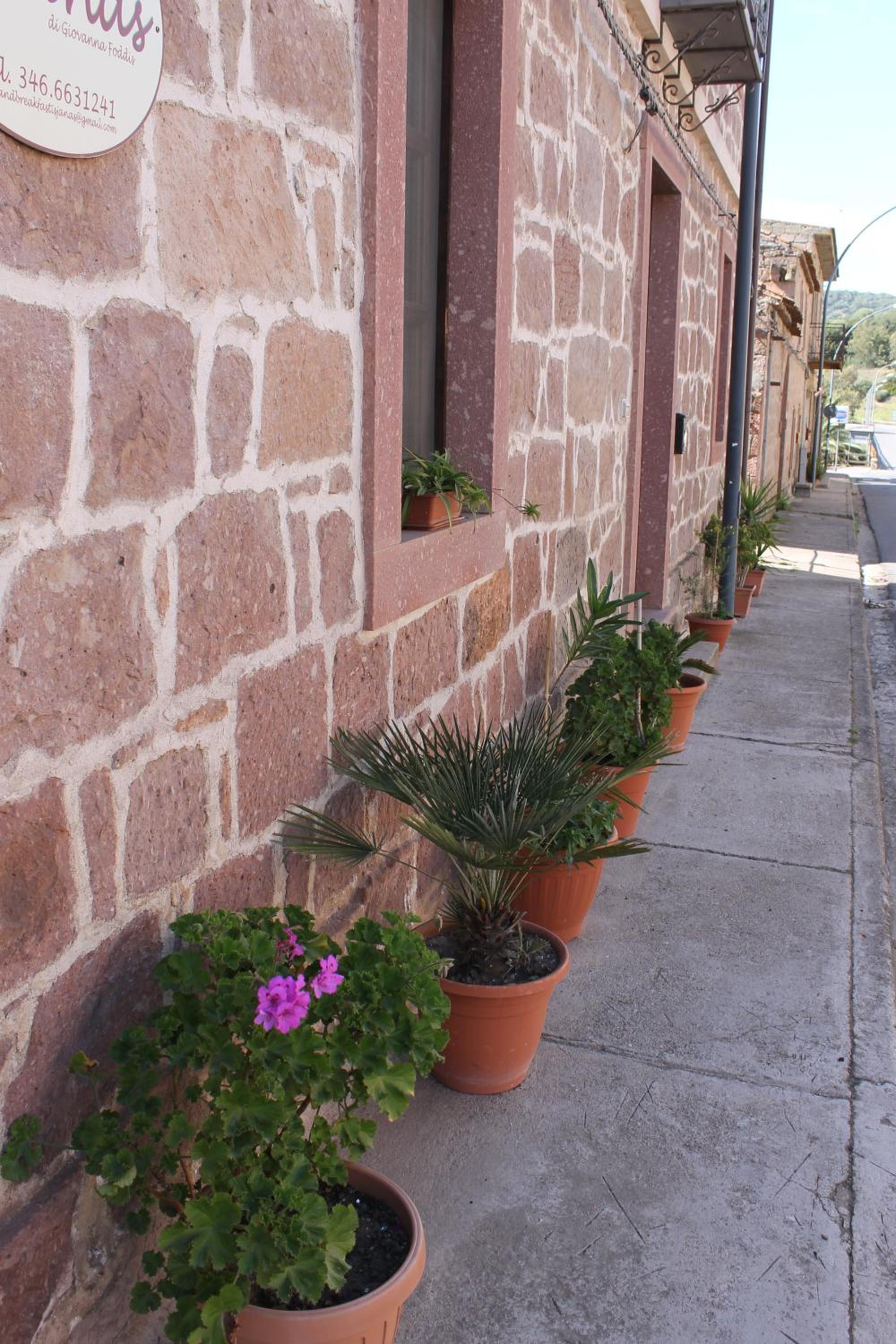 Photo 22
