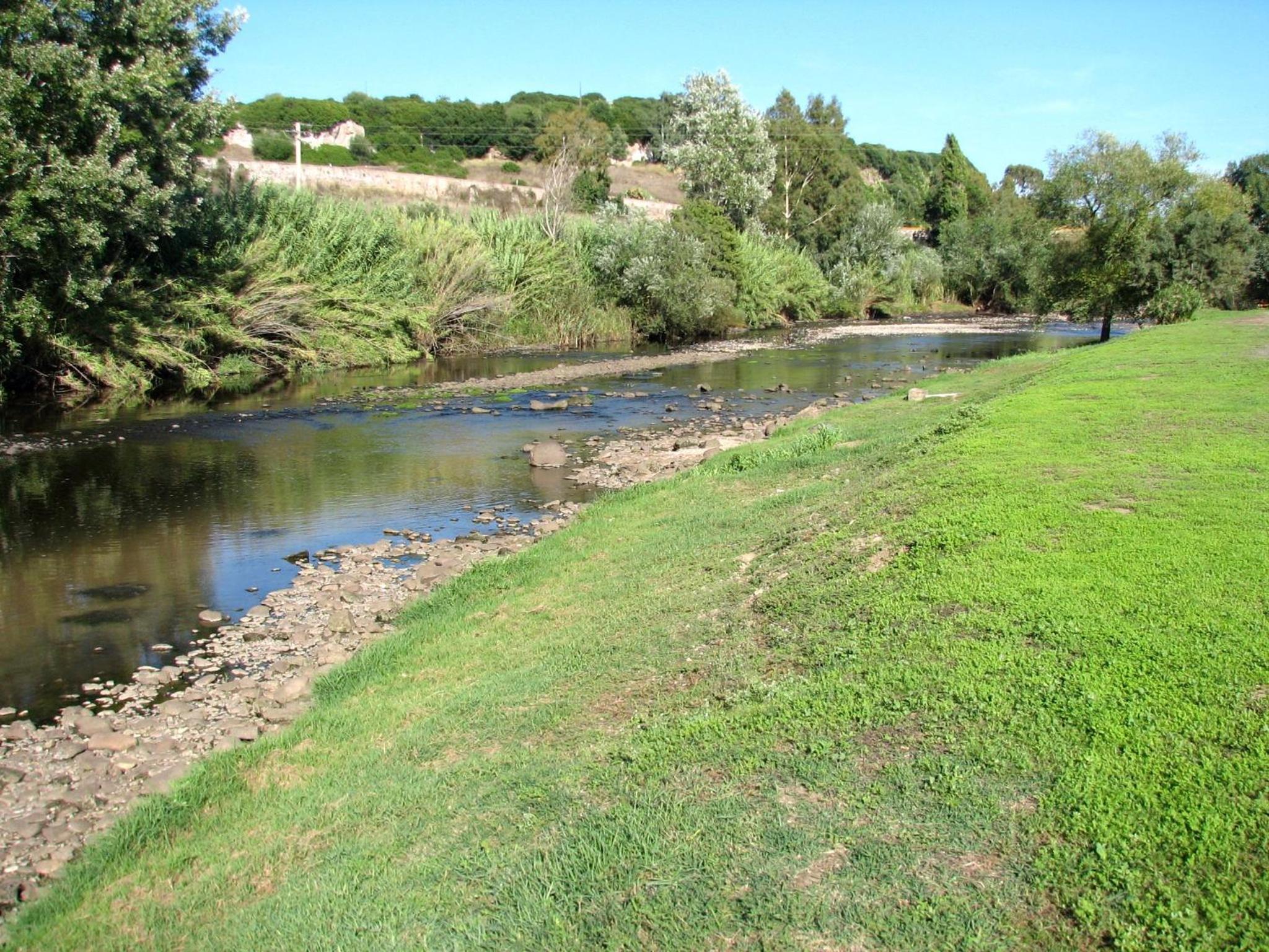 Photo 28