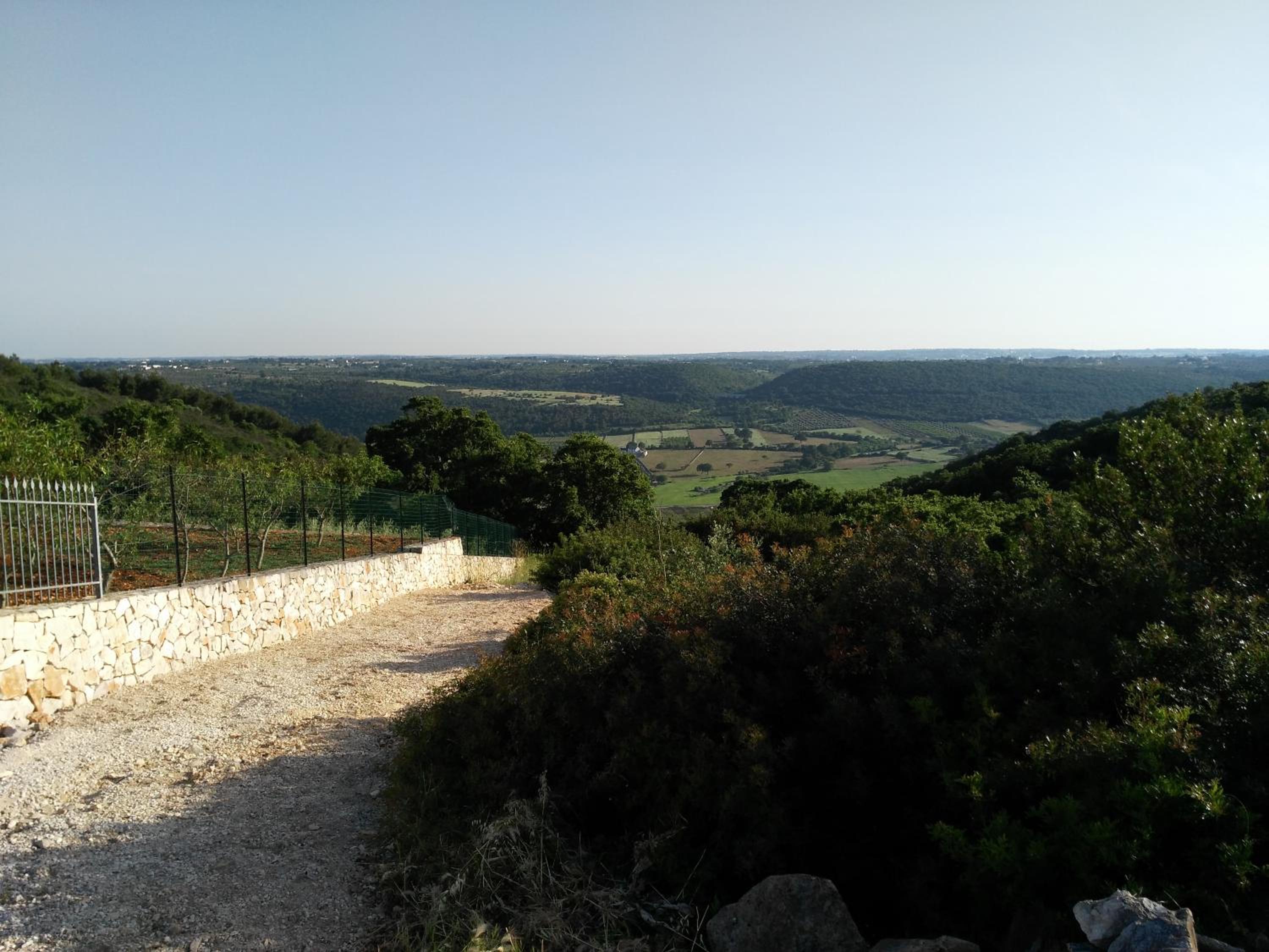 La Suite nel Bosco