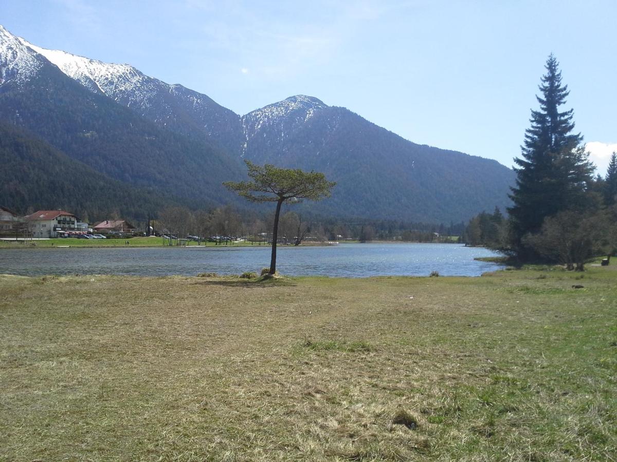 Haus Föhrenwald Ferienwohnung Mundeblick