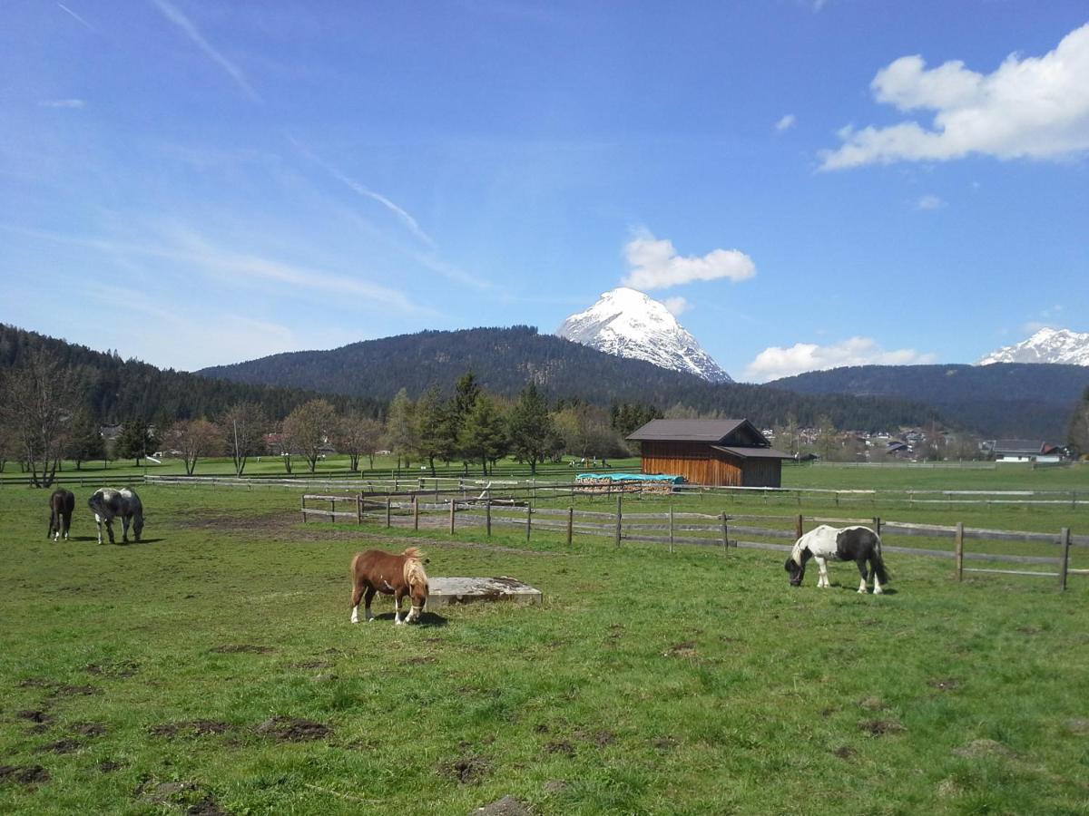 Haus Föhrenwald Ferienwohnung Mundeblick