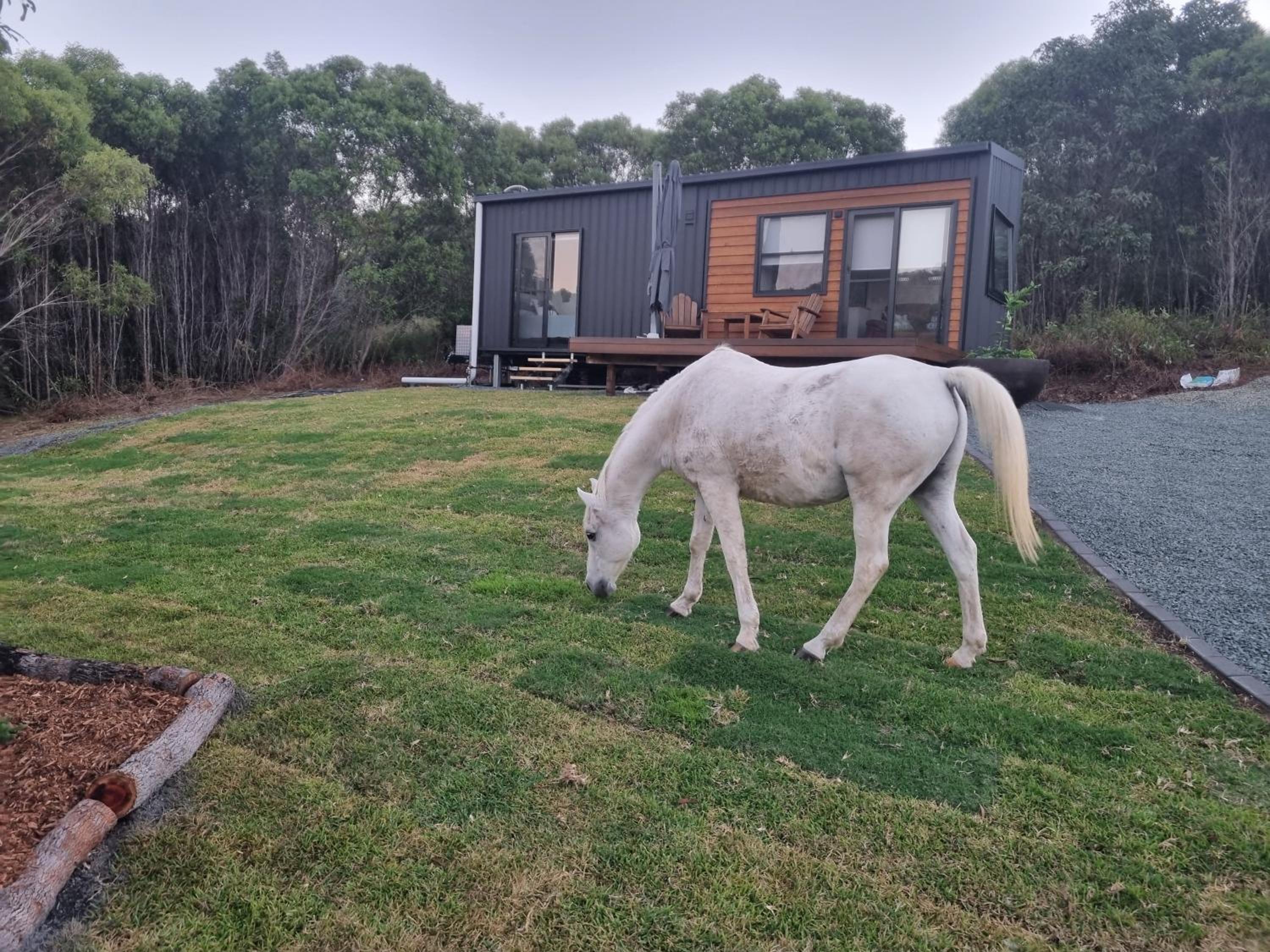 Milfarrago Farm Stay