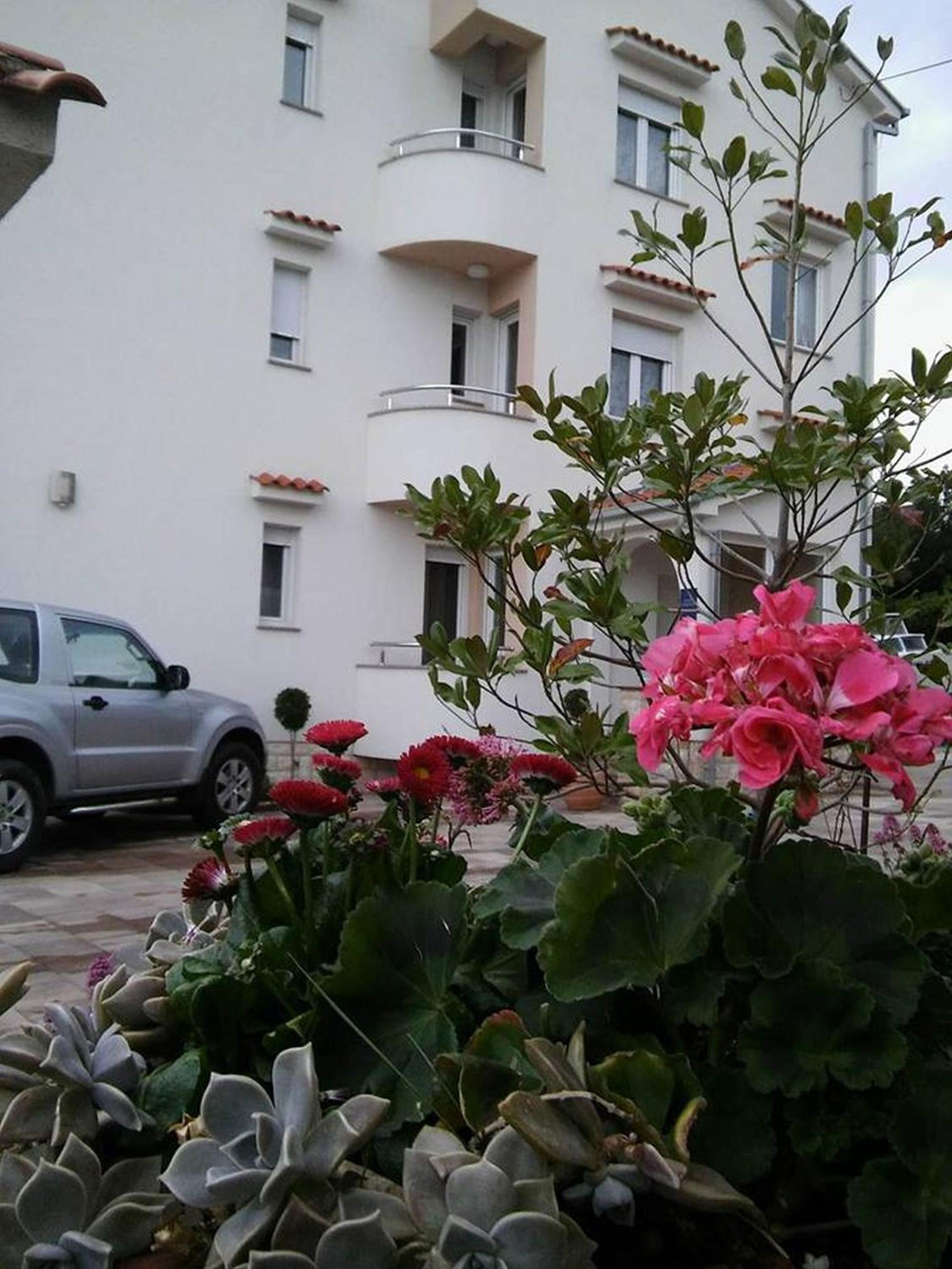 Garfild Guest house view 5