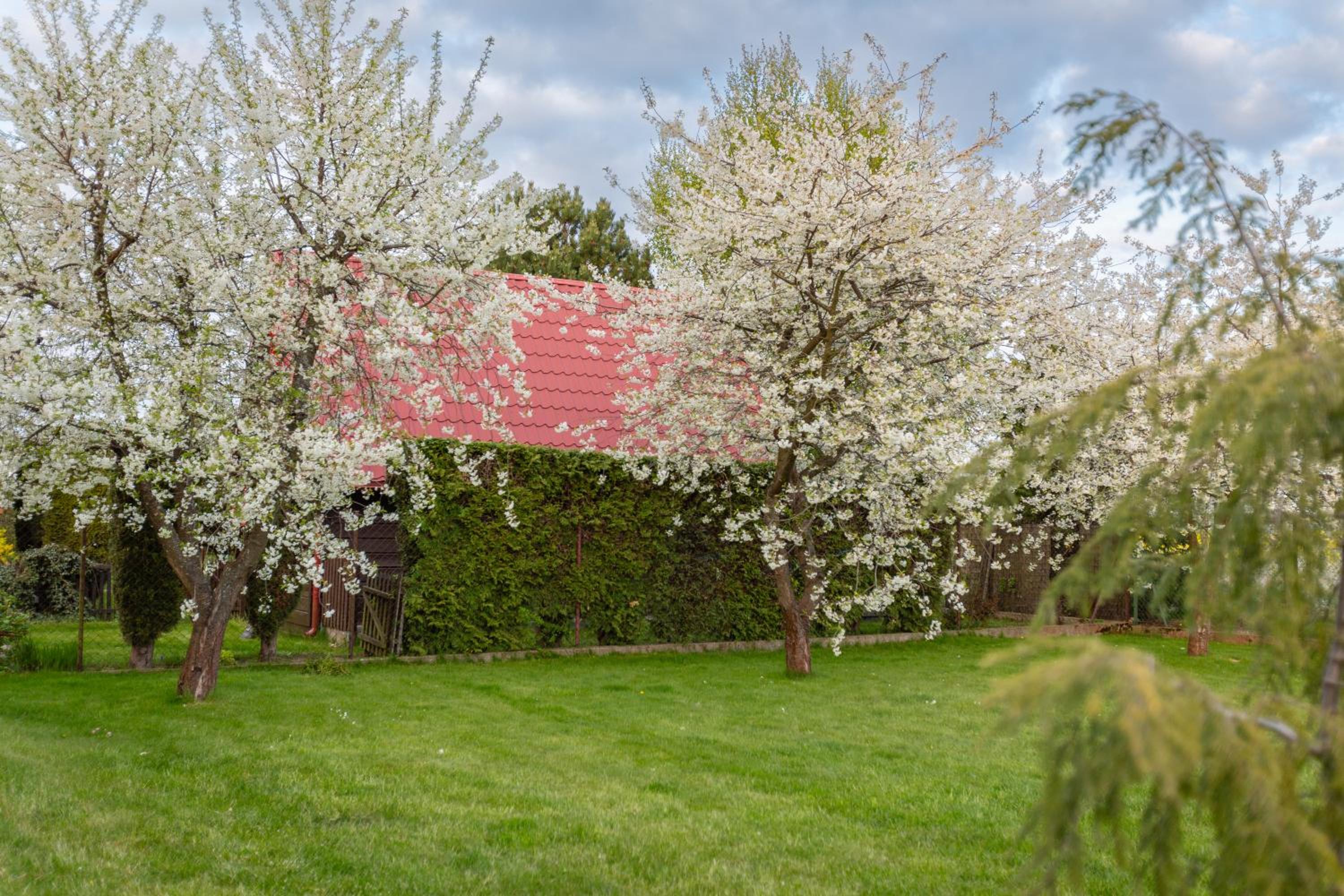 Bay House Puck Gated Garden Retreat, photo 30
