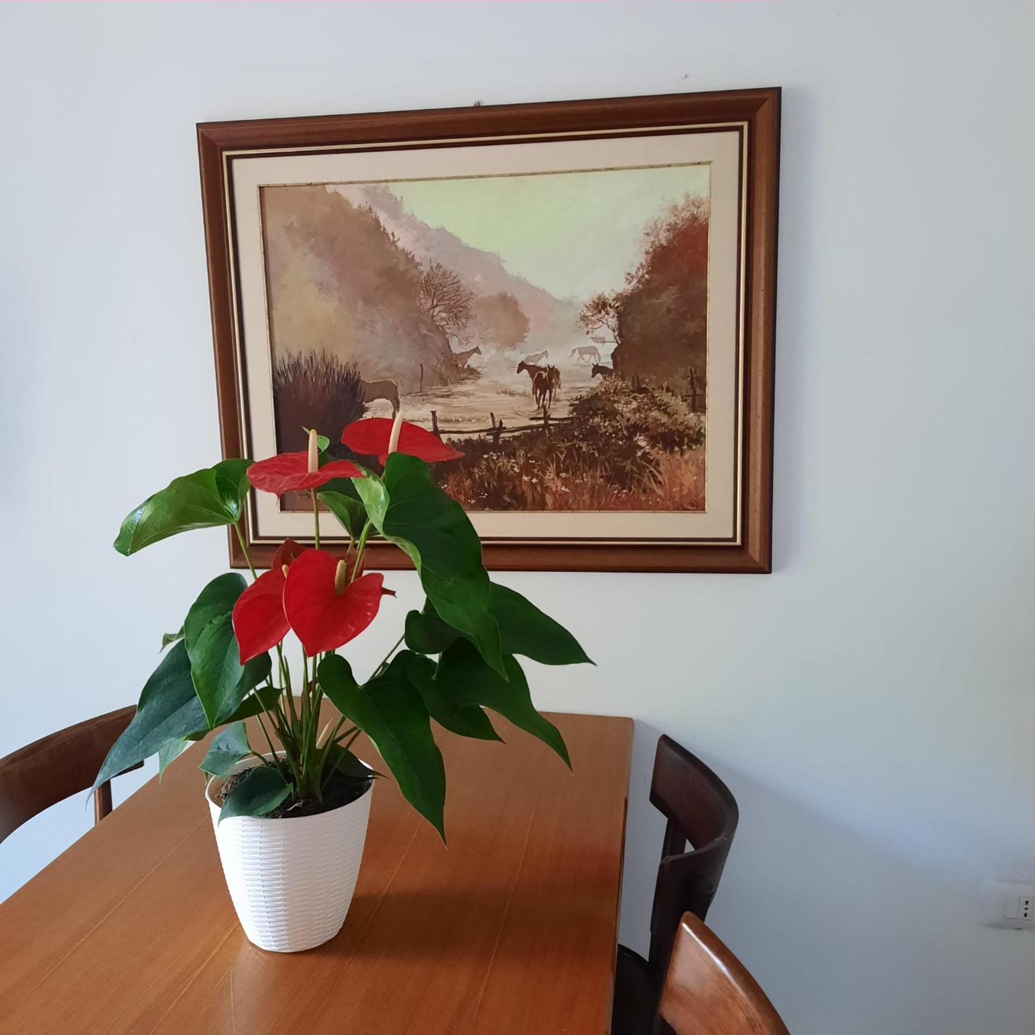 Casa Maioli - Your Mountain Holiday