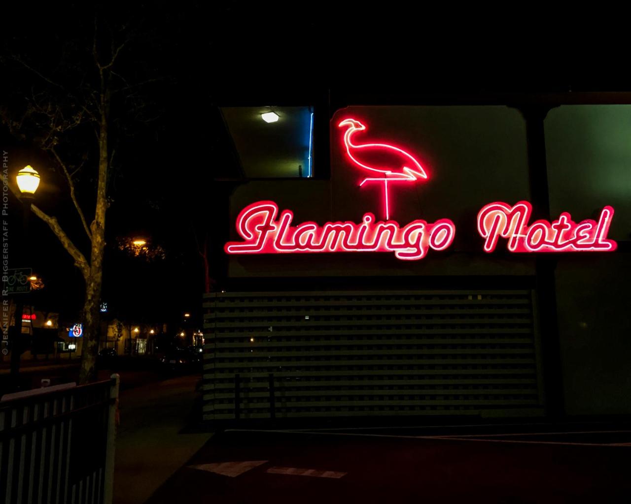 Newark Vacations - The Flamingo Motel San Jose - Property Image 1
