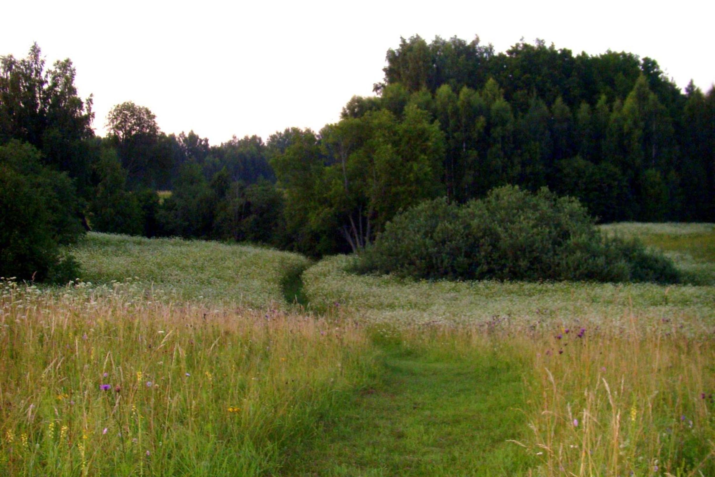 Photo 48