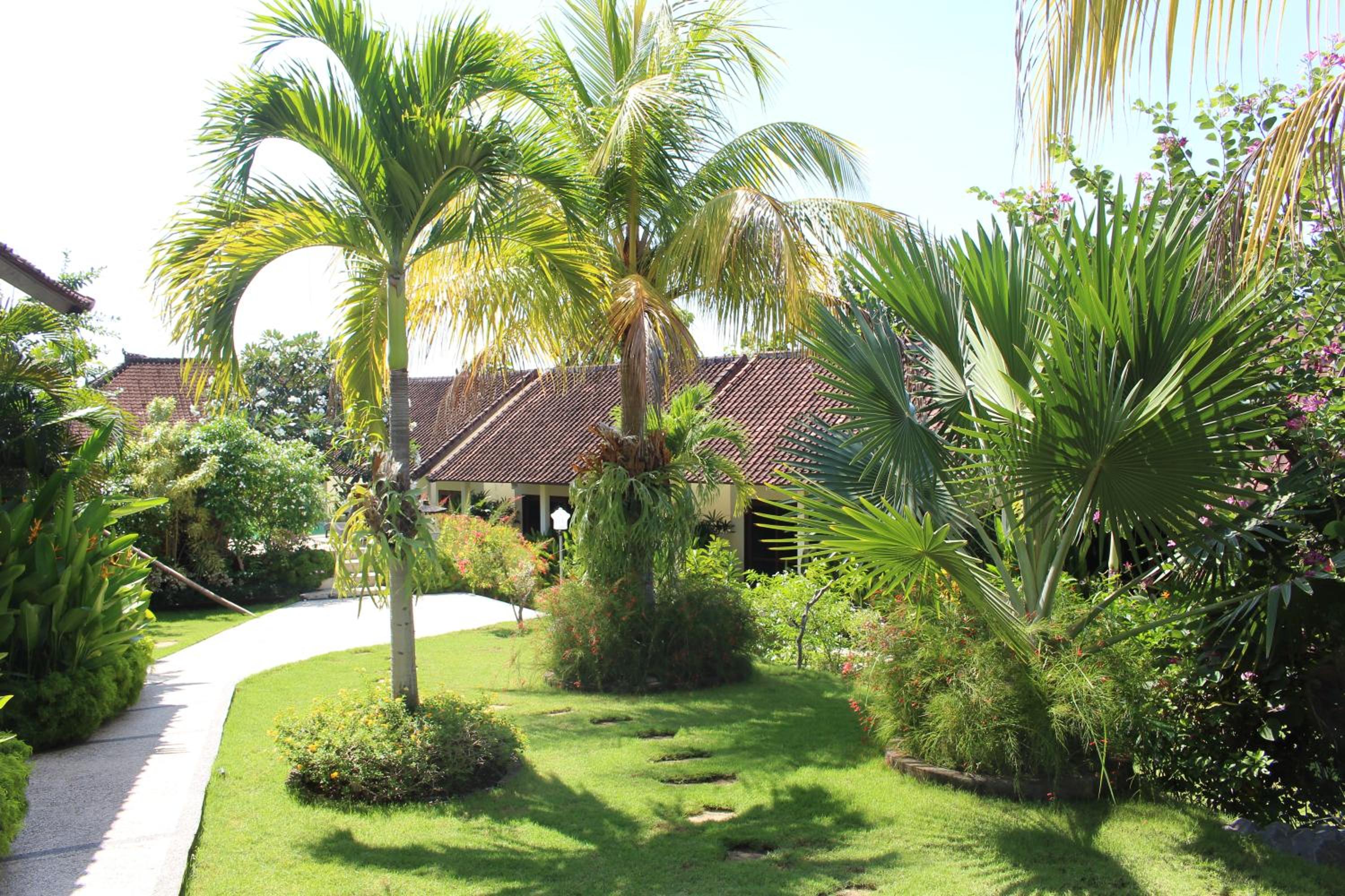 Ocean Sun Dive Resort