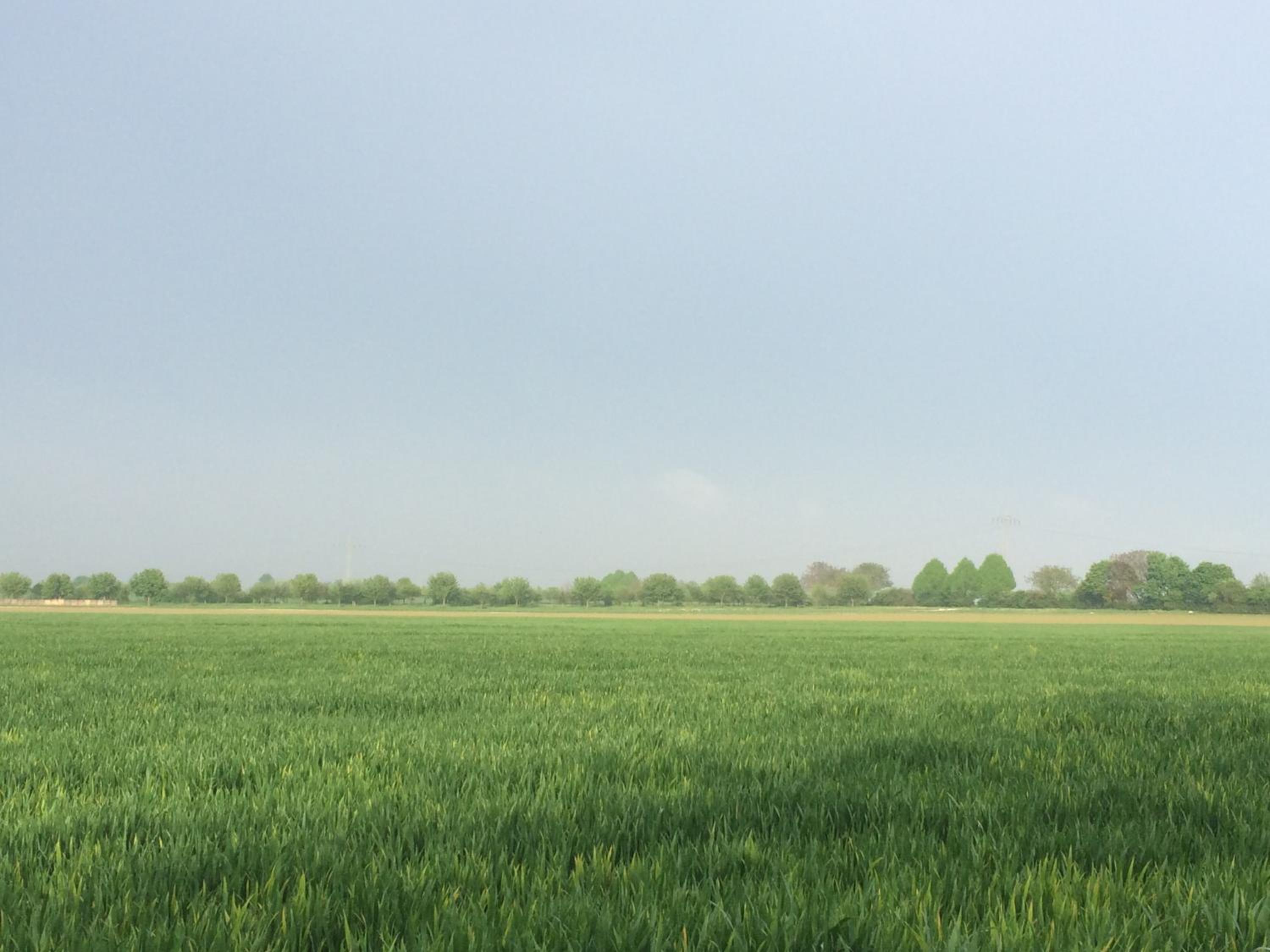 Alte Heimat
