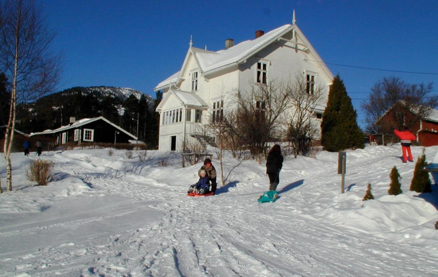 Photo 33