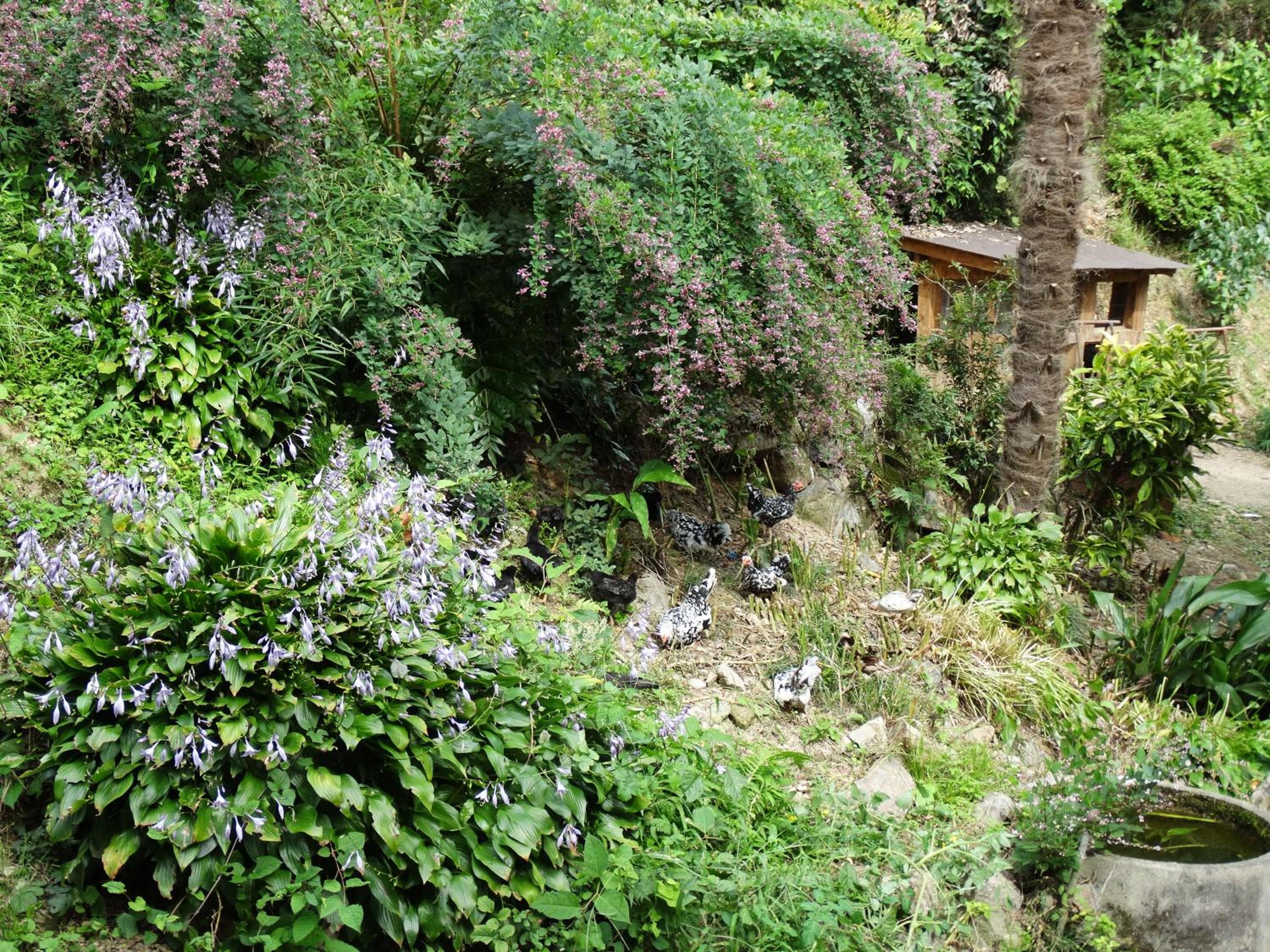 Photo 24