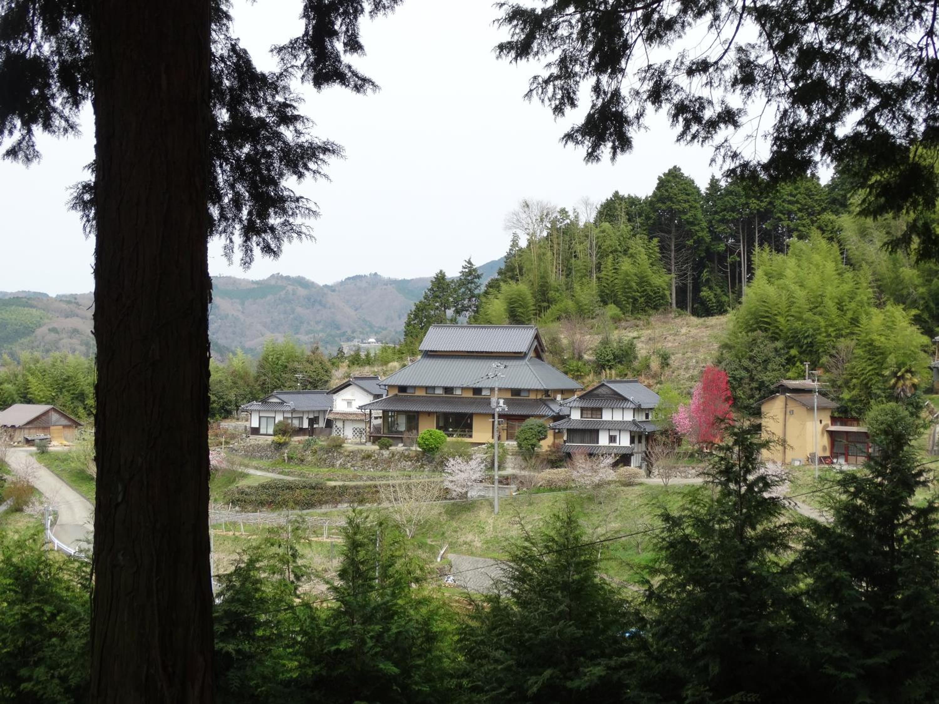 Photo 25