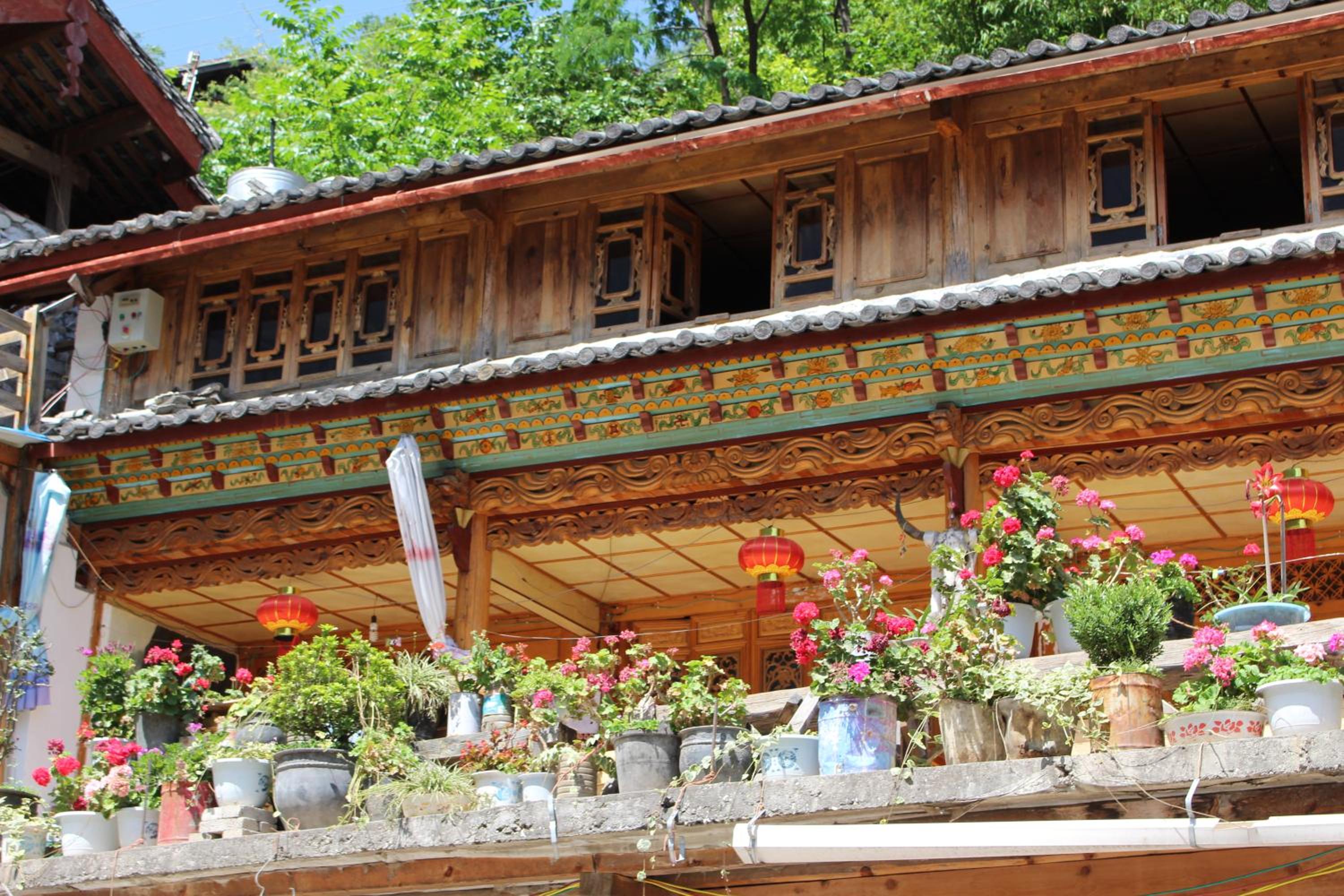 TIBET Guest house 虎跳峡卓玛客栈