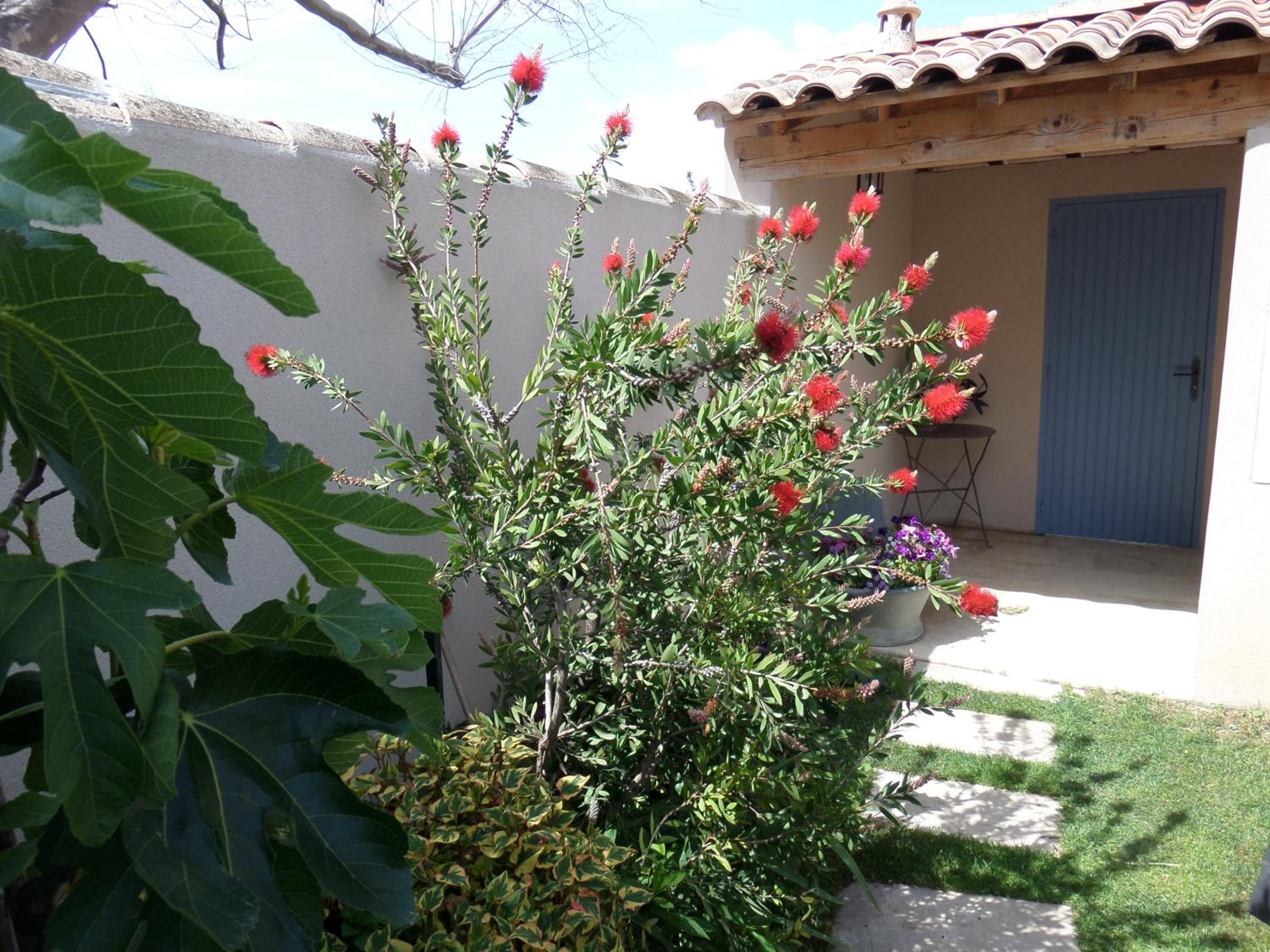 Photo 27