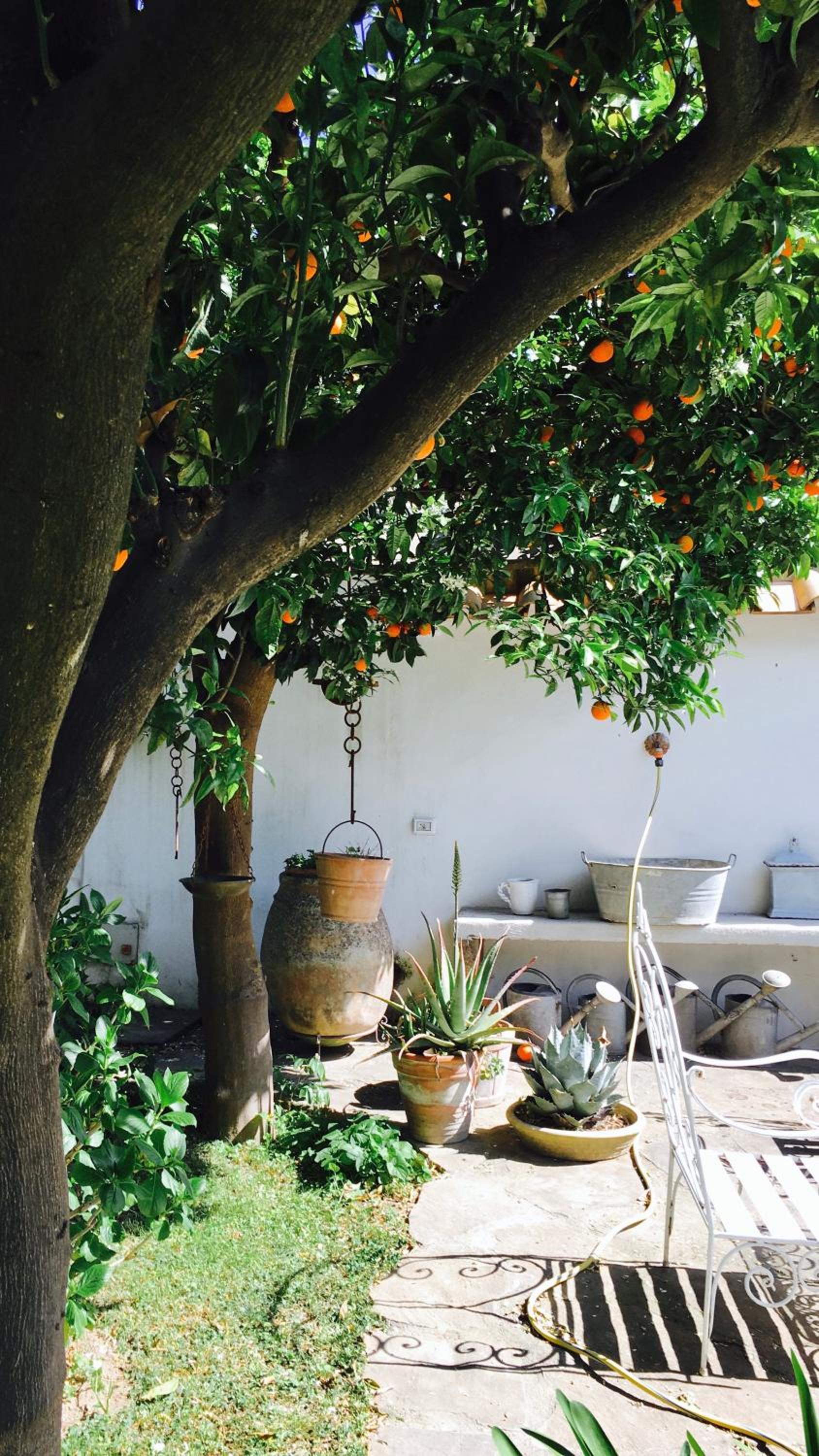 Palazzo Cacace Relais photo 5