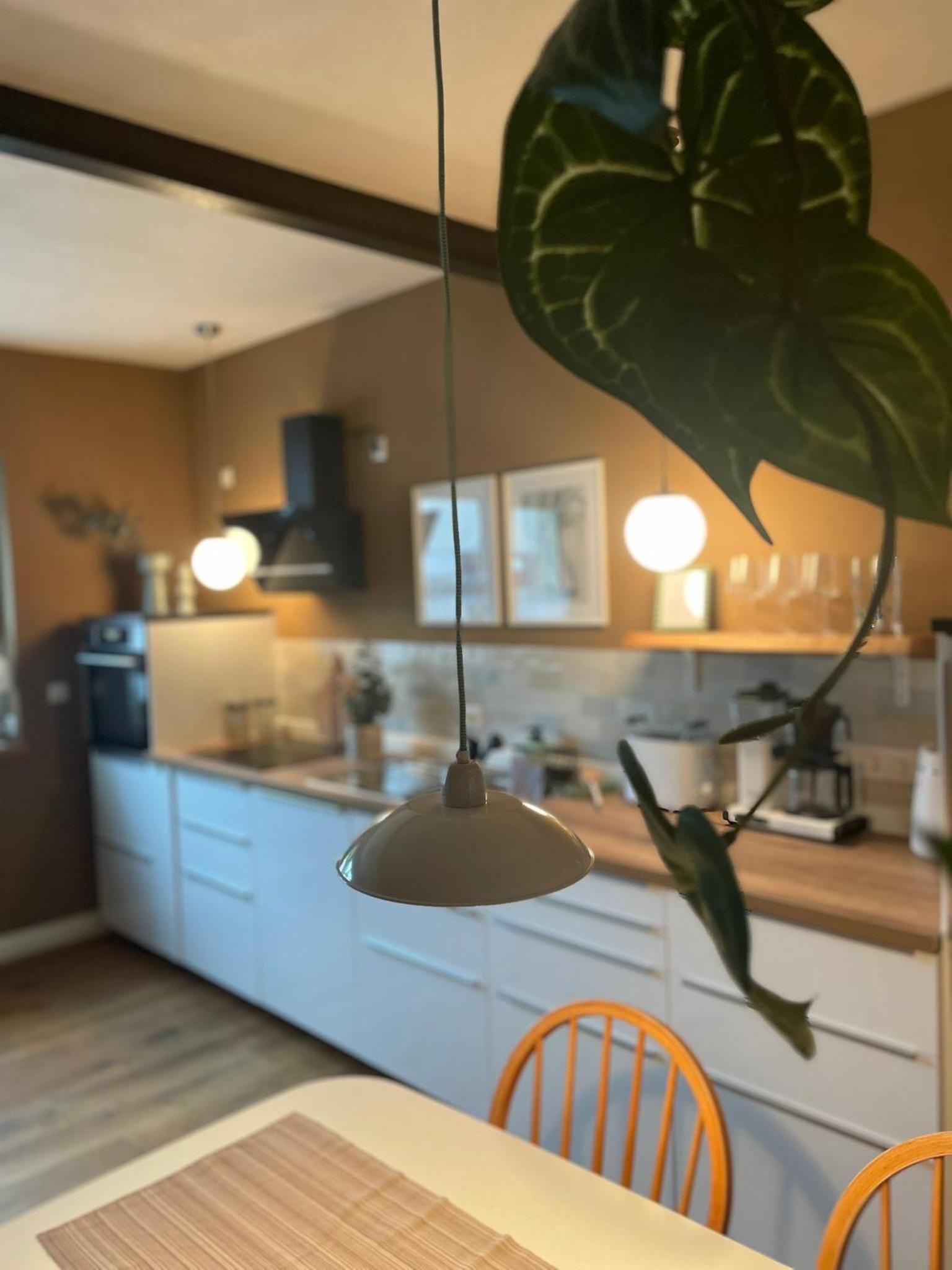 Kochstedter Wohnstuben - Wohnen mit Naturbaustoffen in der Bauhausstadt Dessau
