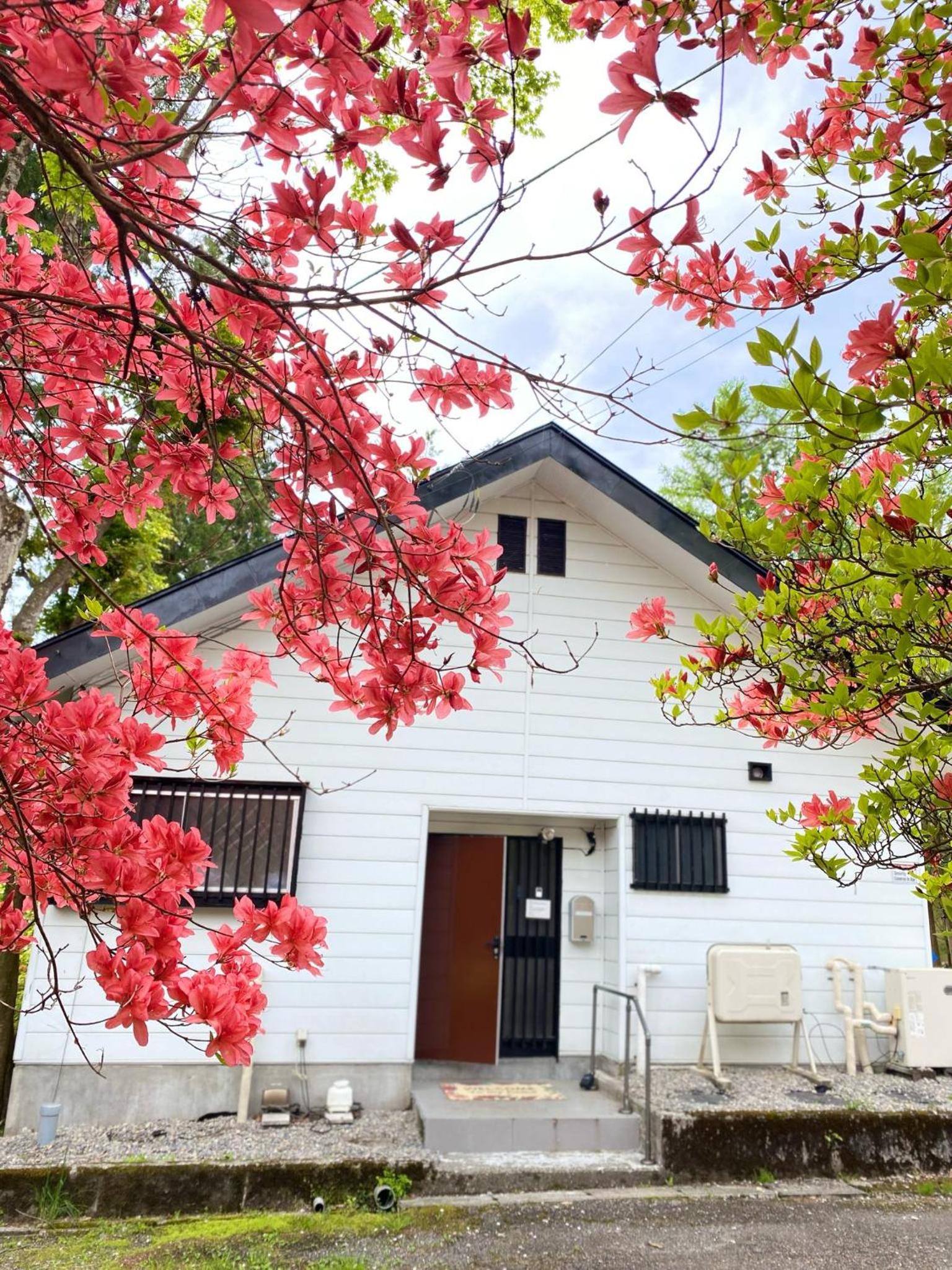 Safa's Guest House