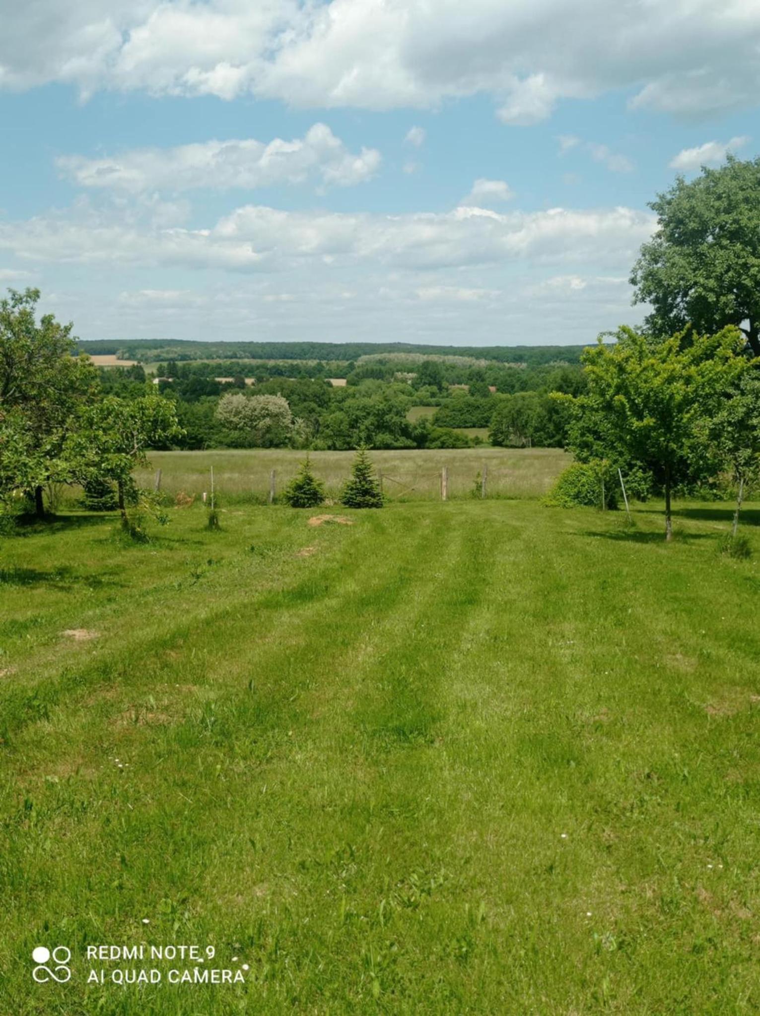 Erika Apartman
