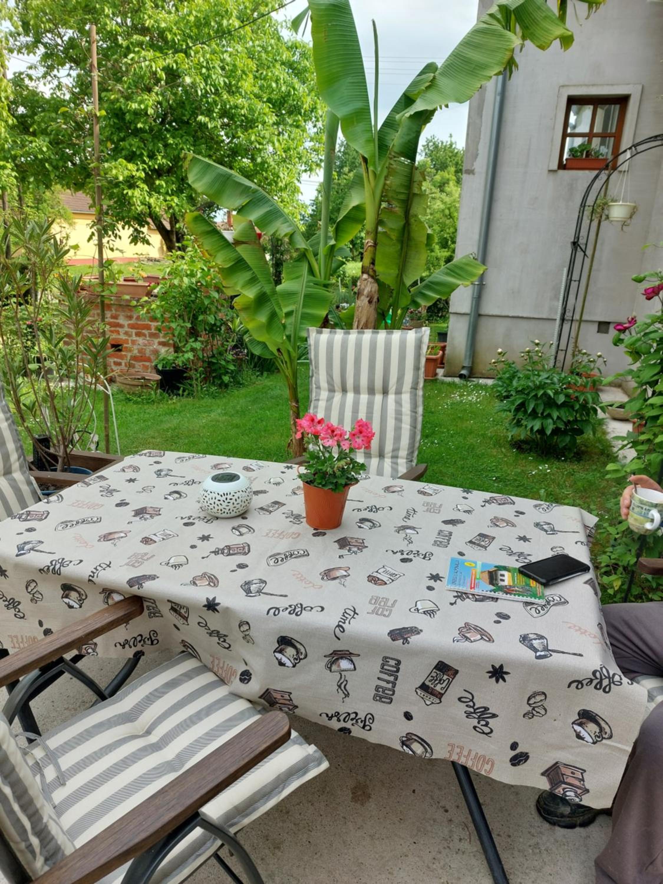 Erika Apartman