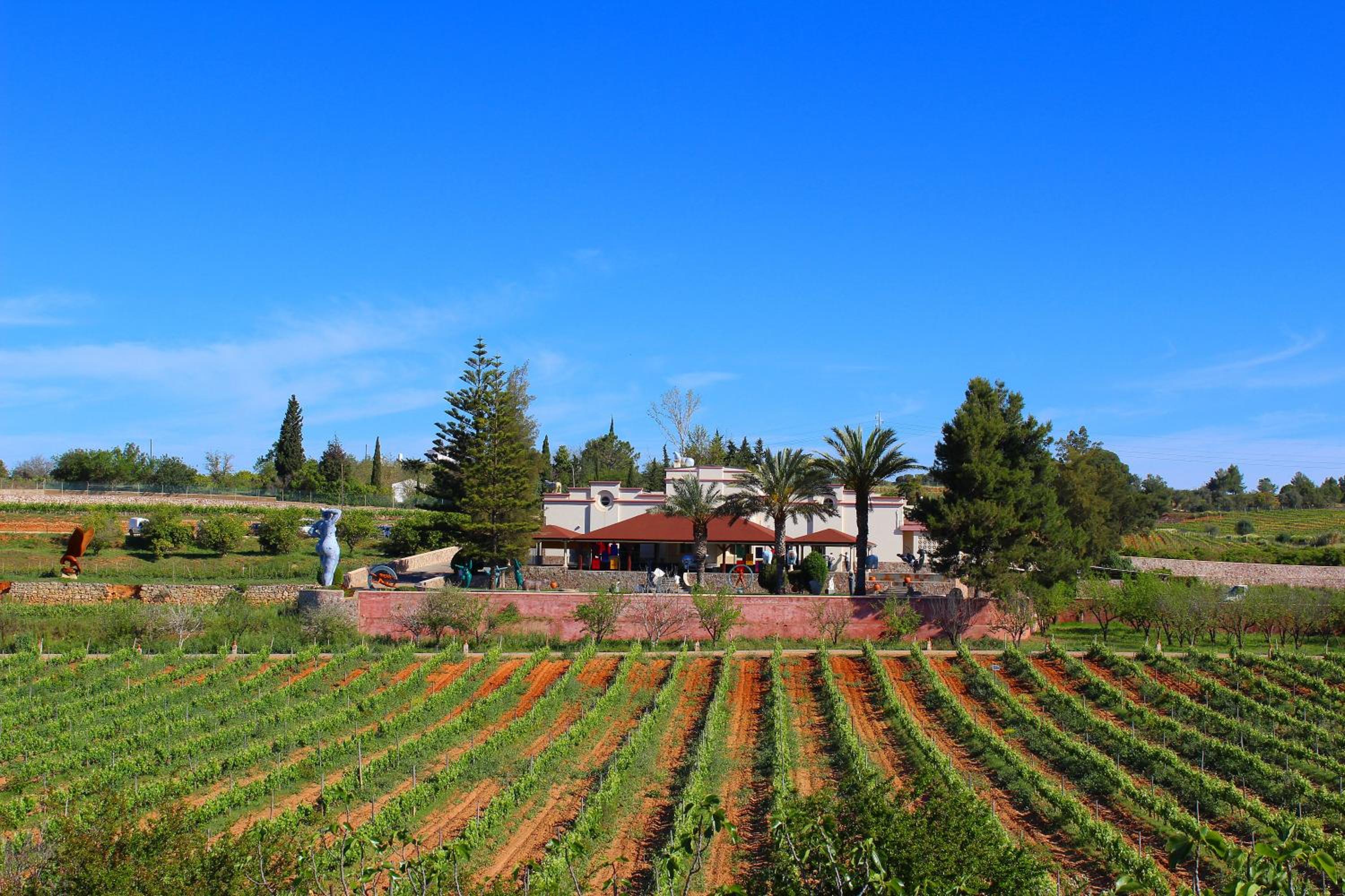 Quinta dos Vales Wine Estate view 5