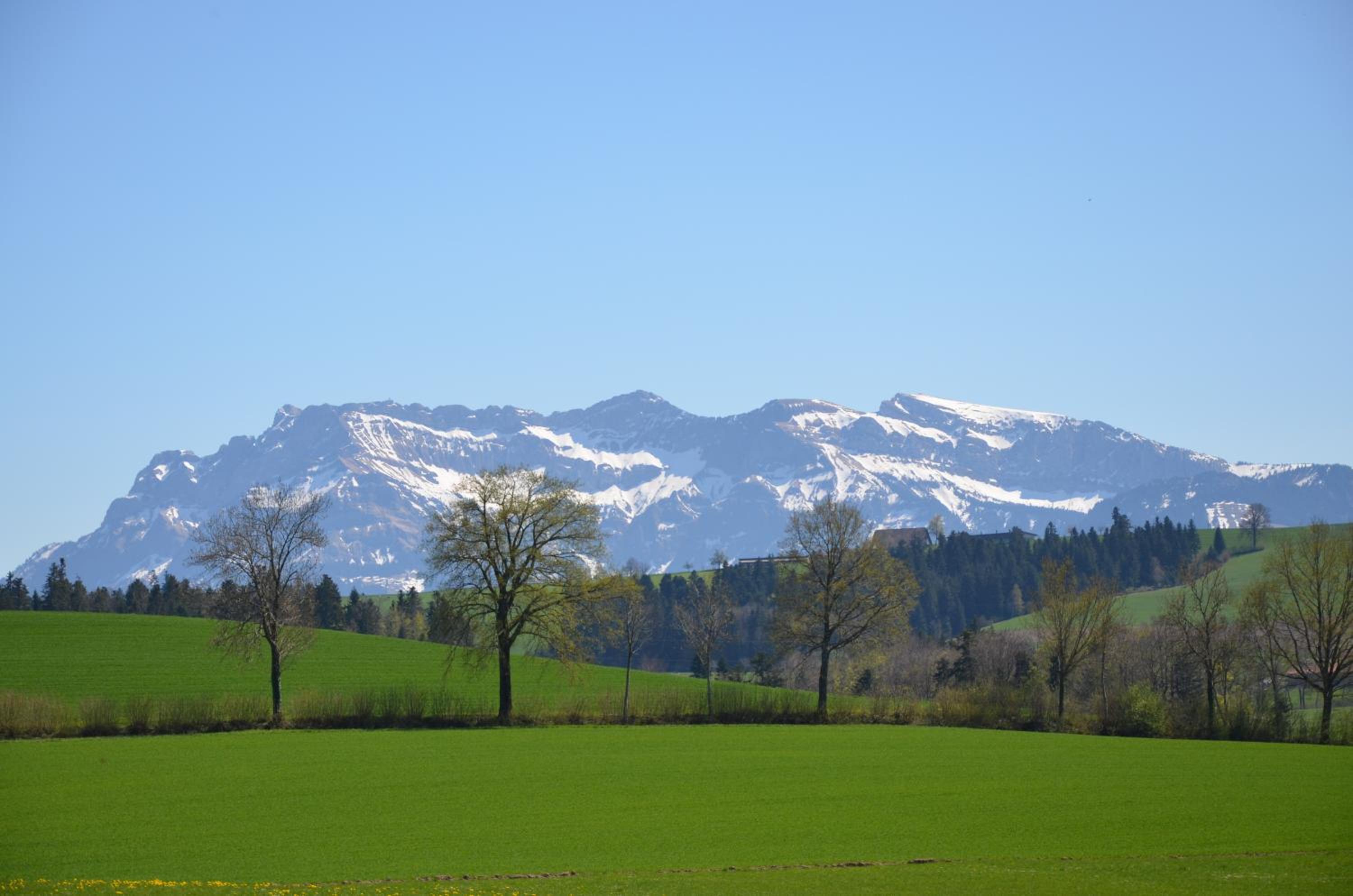 B&B Friedau