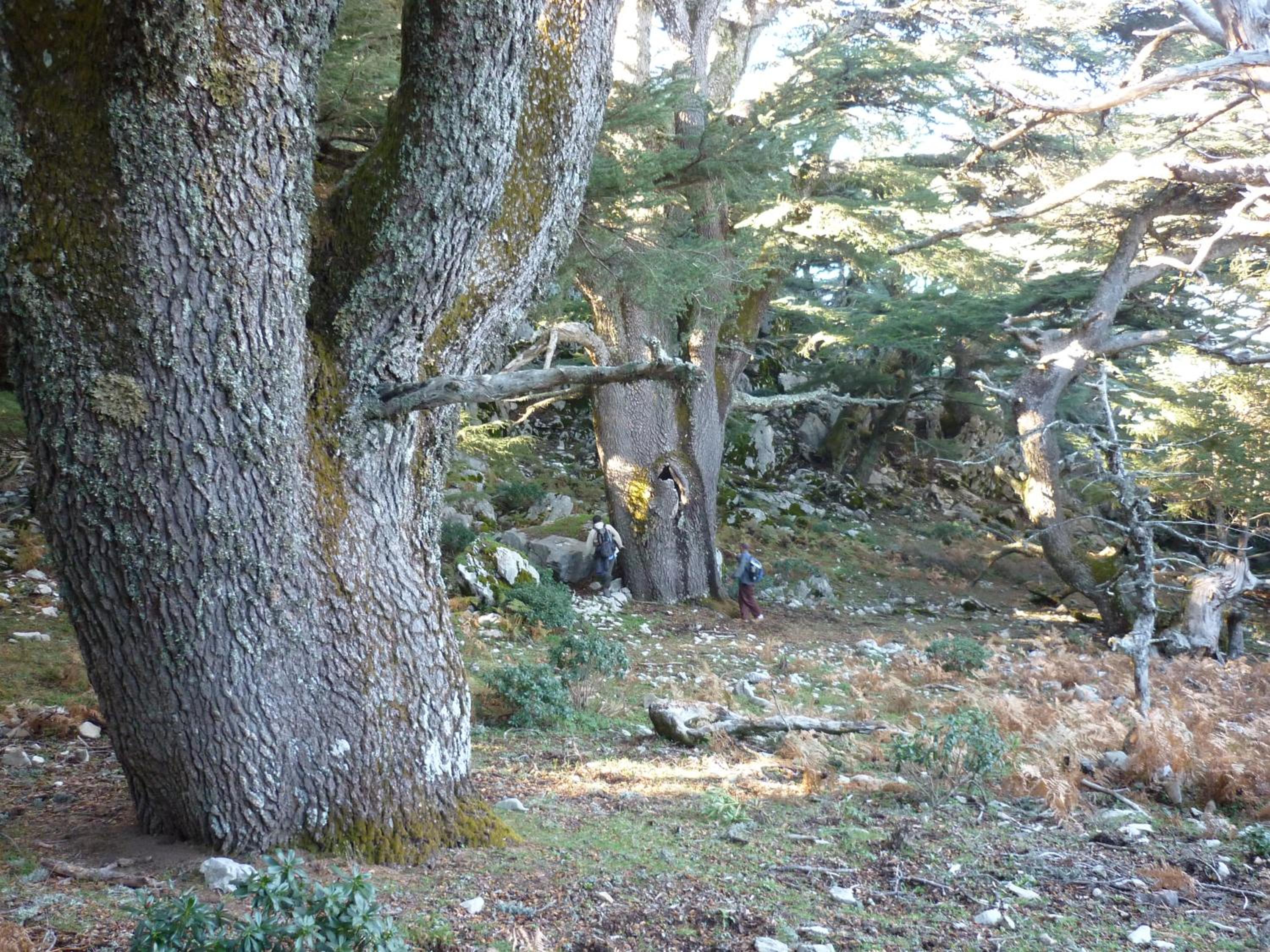 Photo 33