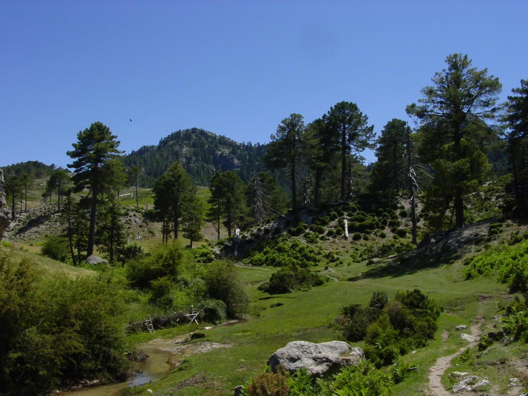 Photo 22
