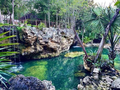 Cozy Getaway Shared Pool & Cenote Access