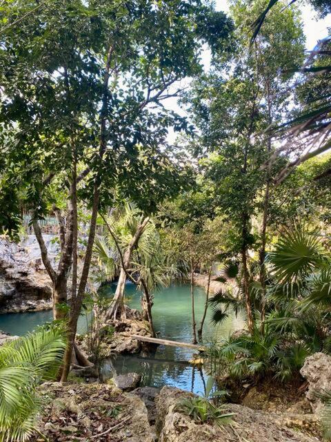 Cozy Getaway Shared Pool & Cenote Access