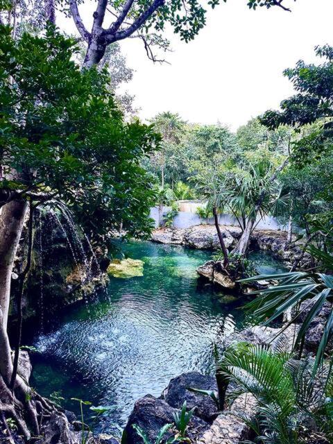 Cozy Getaway Shared Pool & Cenote Access