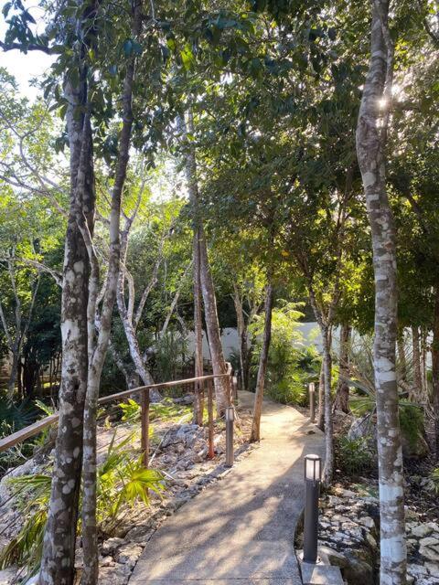 Cozy Getaway Shared Pool & Cenote Access