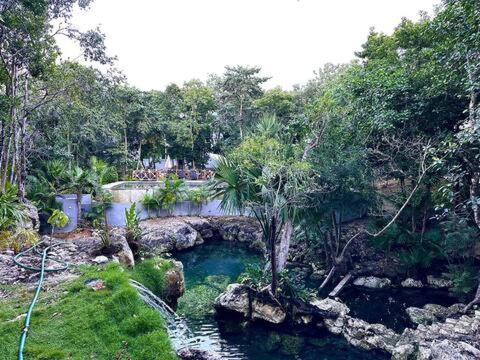 Cozy Getaway Shared Pool & Cenote Access