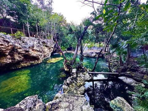 Cozy Getaway Shared Pool & Cenote Access