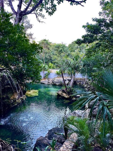 Cozy Getaway Shared Pool & Cenote Access