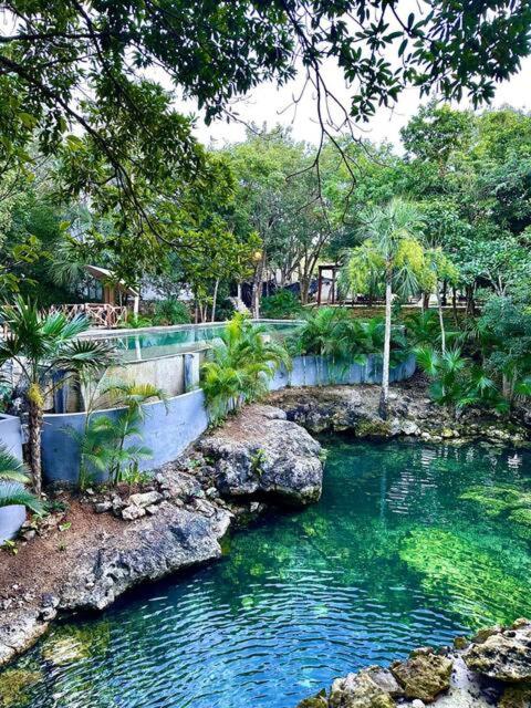 Cozy Getaway Shared Pool & Cenote Access