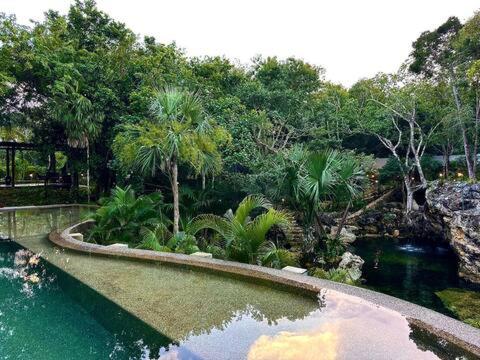Cozy Getaway Shared Pool & Cenote Access